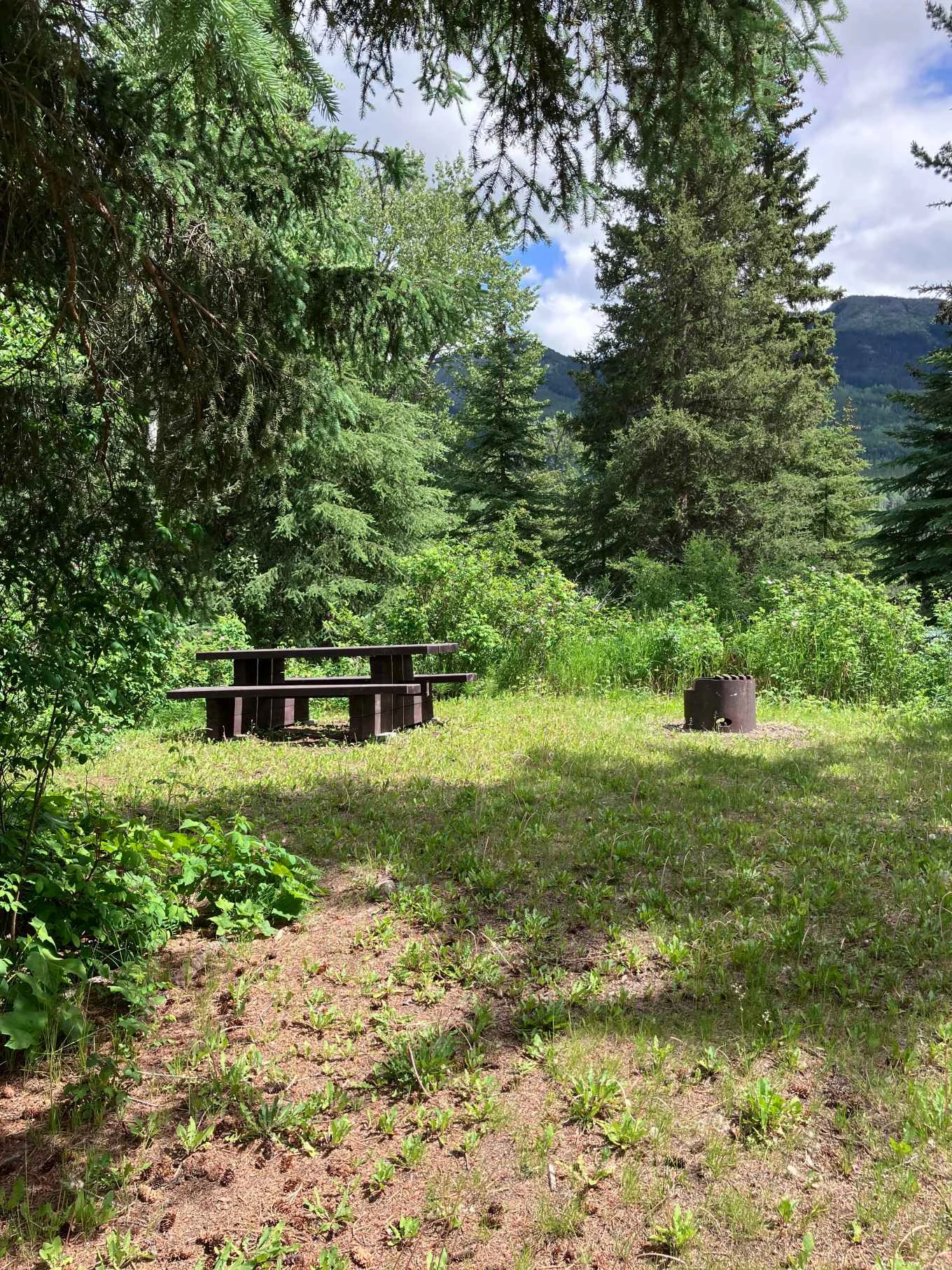Photo: Recreation Sites and Trails BC. © Province of British Columbia, licensed under the Open Government Licence – British Columbia. Aspen