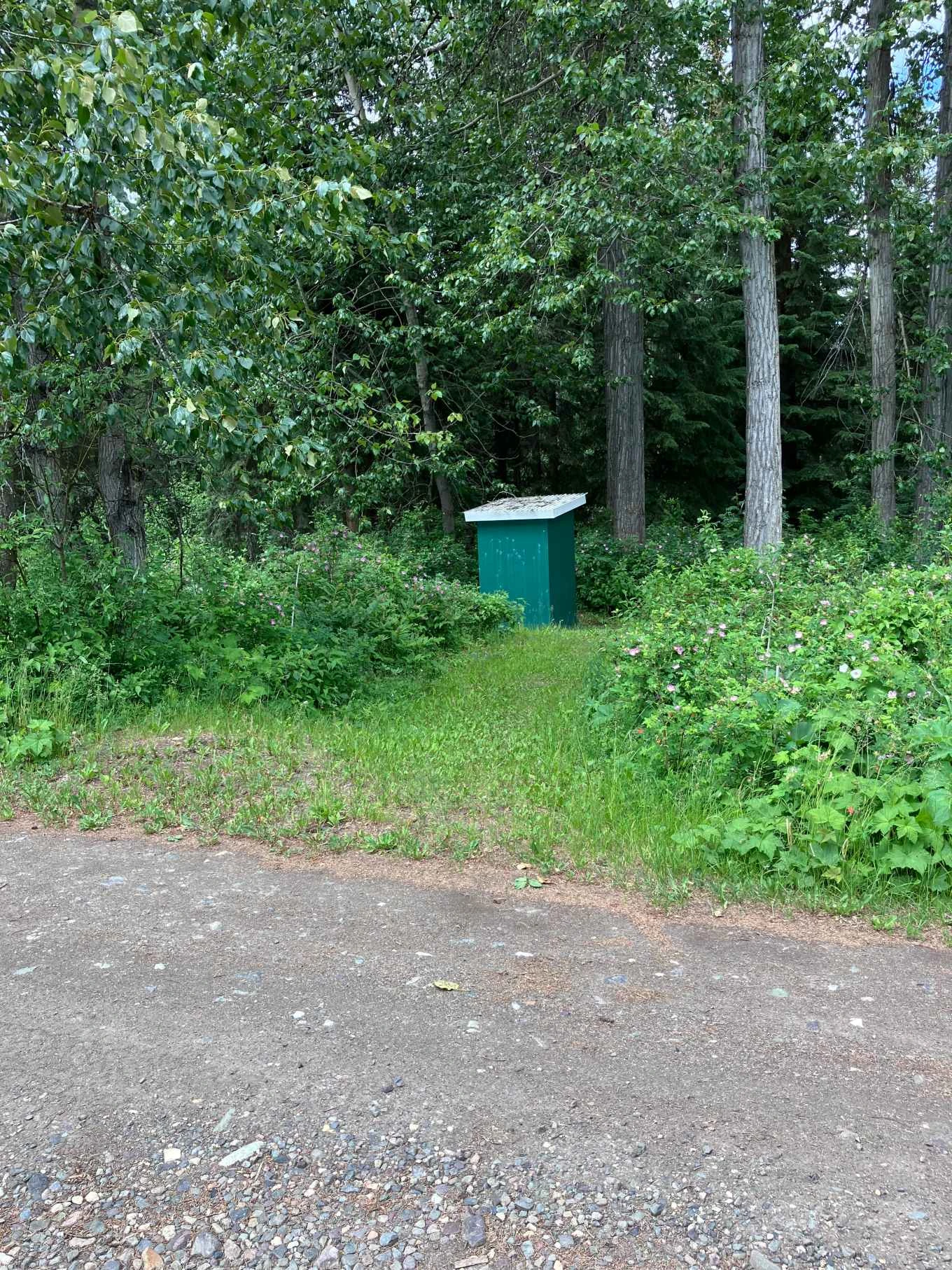Photo: Recreation Sites and Trails BC. © Province of British Columbia, licensed under the Open Government Licence – British Columbia. Aspen, photo 3