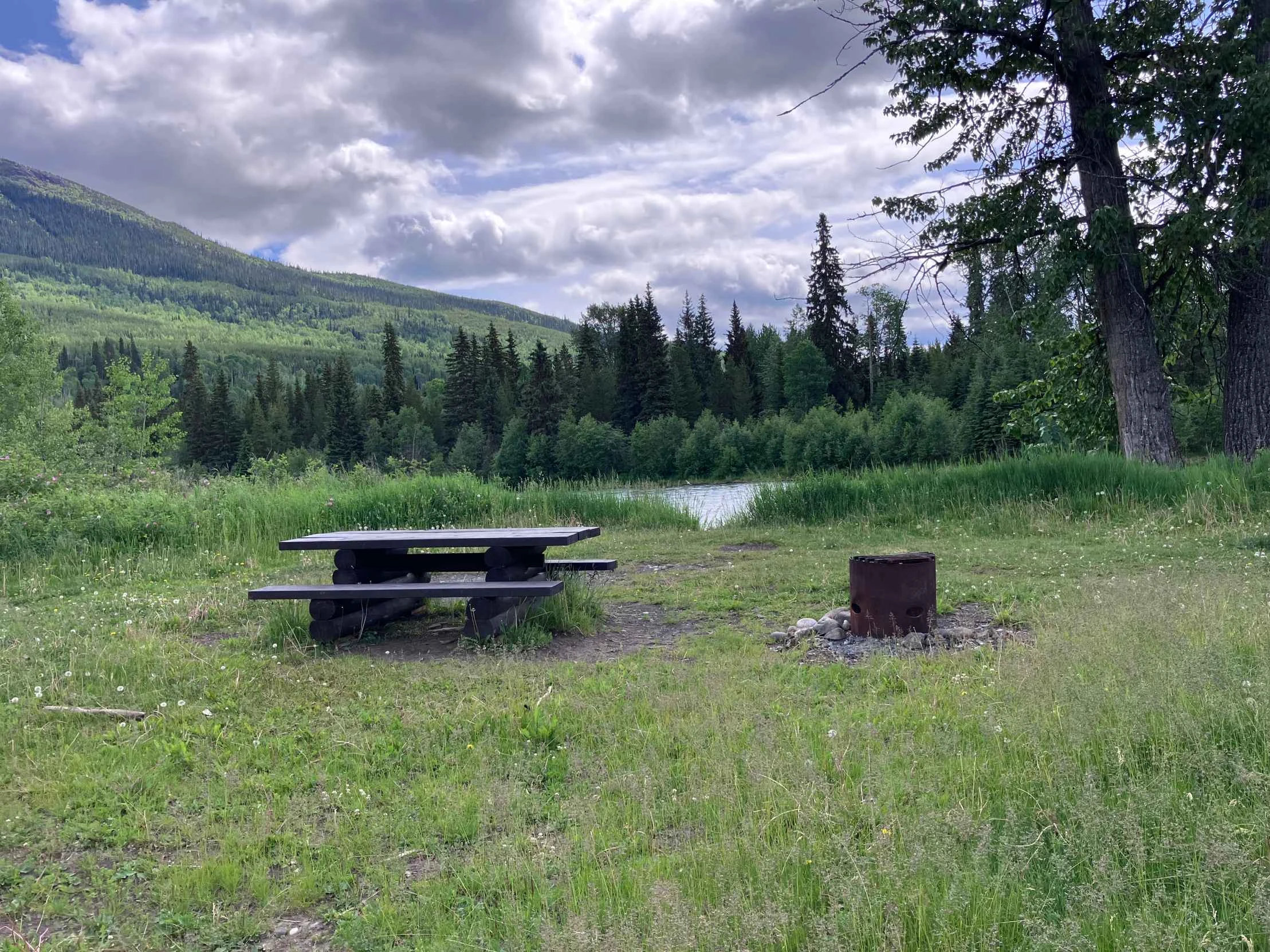 Photo: Recreation Sites and Trails BC. © Province of British Columbia, licensed under the Open Government Licence – British Columbia. Aspen, photo 2