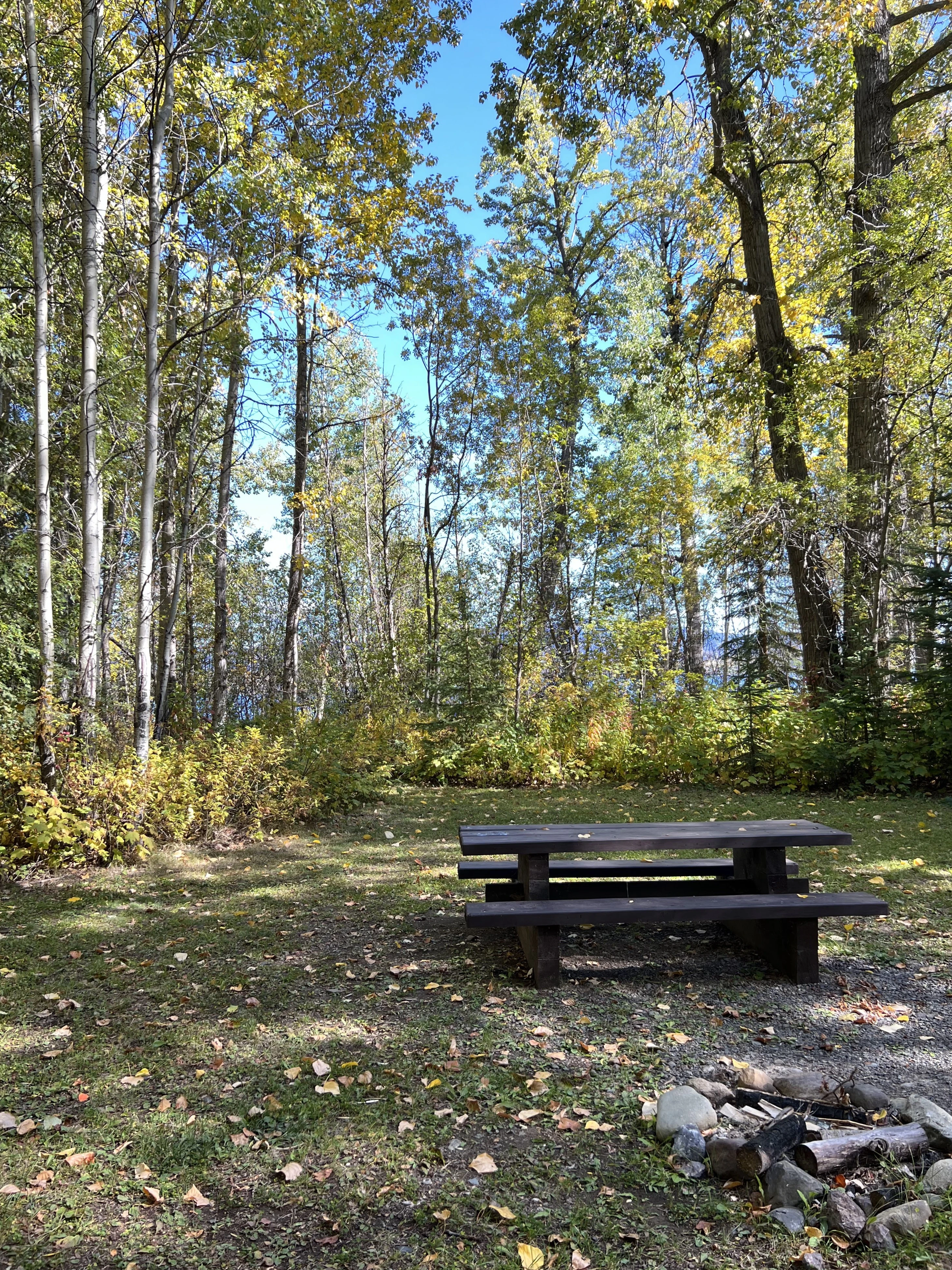 Photo: Recreation Sites and Trails BC. © Province of British Columbia, licensed under the Open Government Licence – British Columbia. Old Fort, photo 3