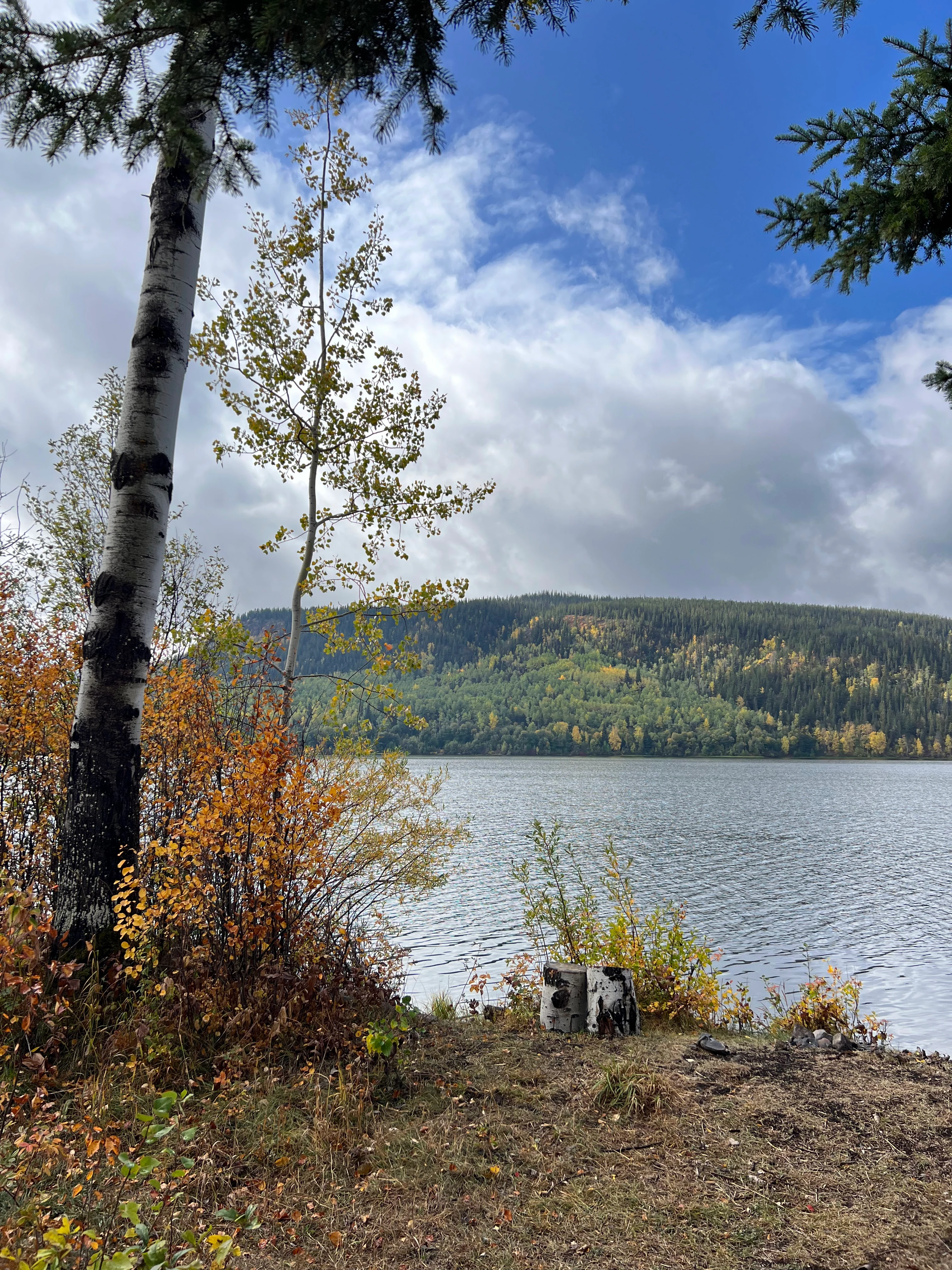 Photo: Recreation Sites and Trails BC. © Province of British Columbia, licensed under the Open Government Licence – British Columbia. Sunset Lake, photo 4