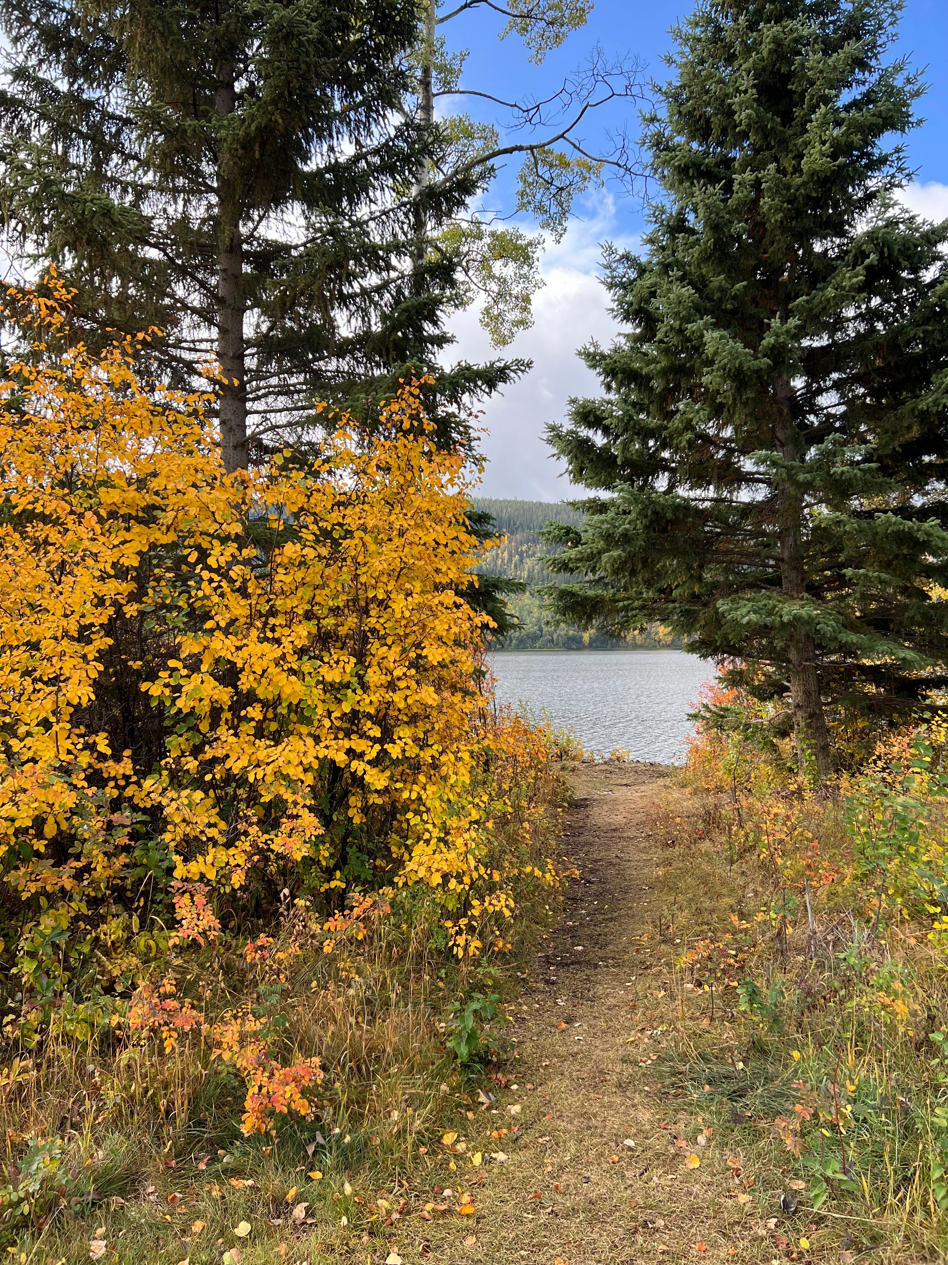 Photo: Recreation Sites and Trails BC. © Province of British Columbia, licensed under the Open Government Licence – British Columbia. Sunset Lake, photo 7
