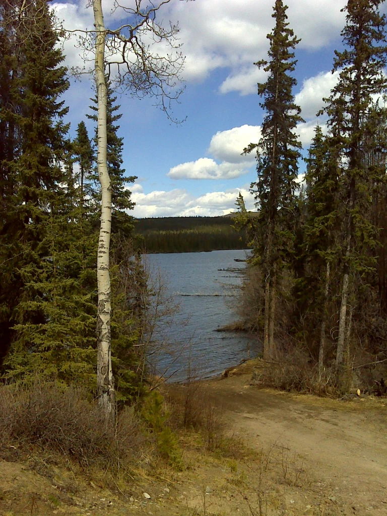 Photo: Recreation Sites and Trails BC. © Province of British Columbia, licensed under the Open Government Licence – British Columbia. Knapp Lake