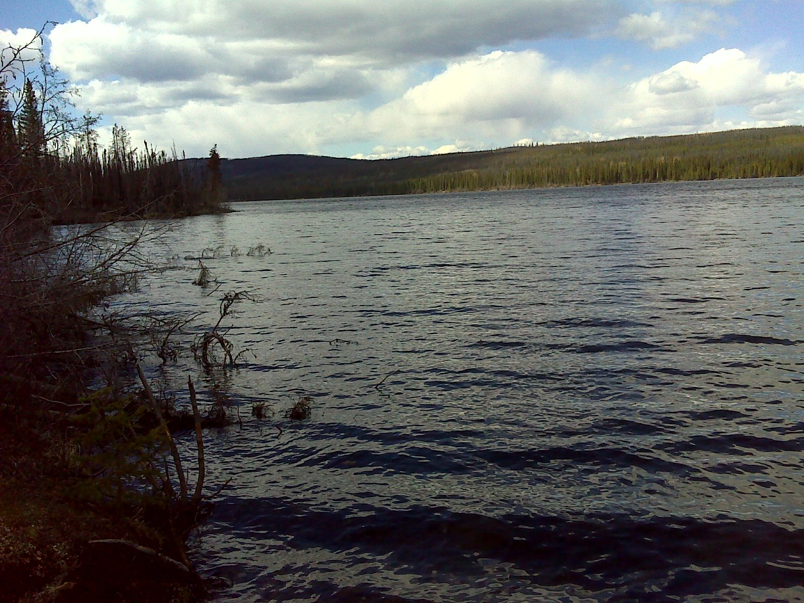 Photo: Recreation Sites and Trails BC. © Province of British Columbia, licensed under the Open Government Licence – British Columbia. Knapp Lake, photo 3
