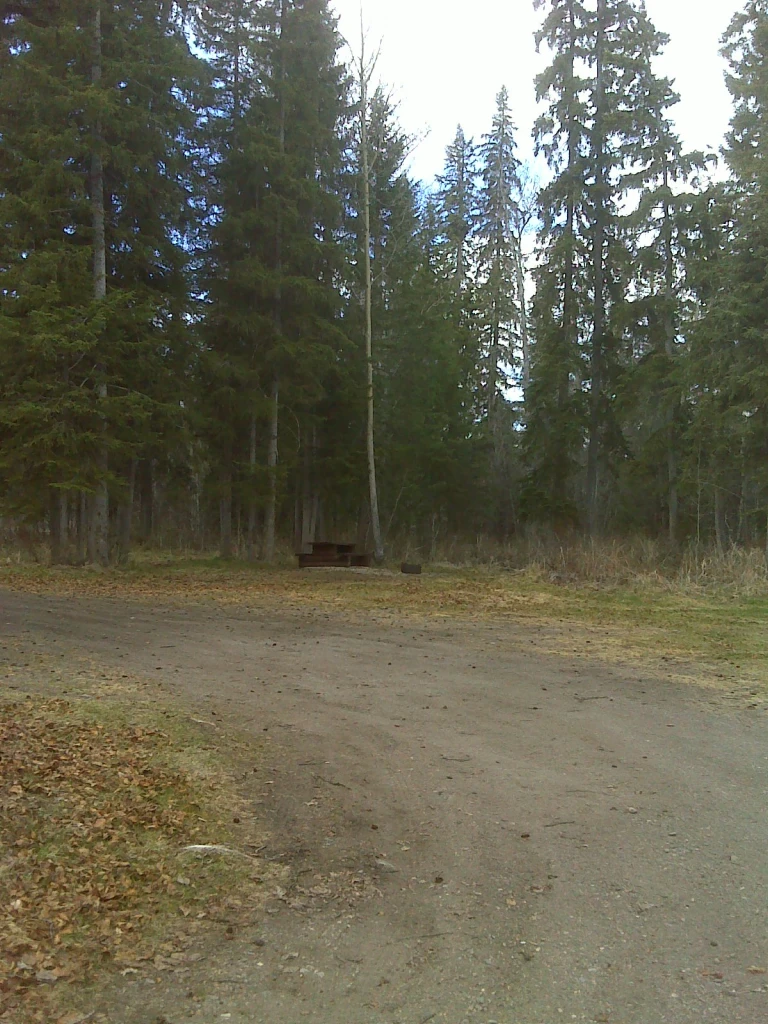 Photo: Recreation Sites and Trails BC. © Province of British Columbia, licensed under the Open Government Licence – British Columbia. Indian Bay, photo 4