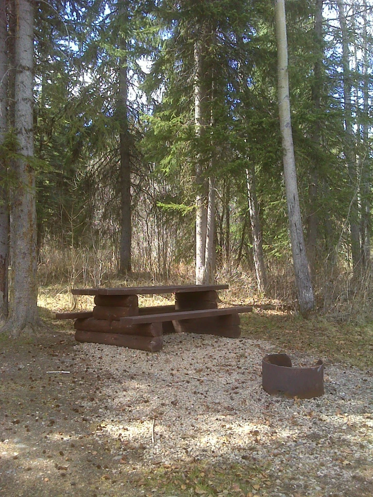 Photo: Recreation Sites and Trails BC. © Province of British Columbia, licensed under the Open Government Licence – British Columbia. Indian Bay, photo 5