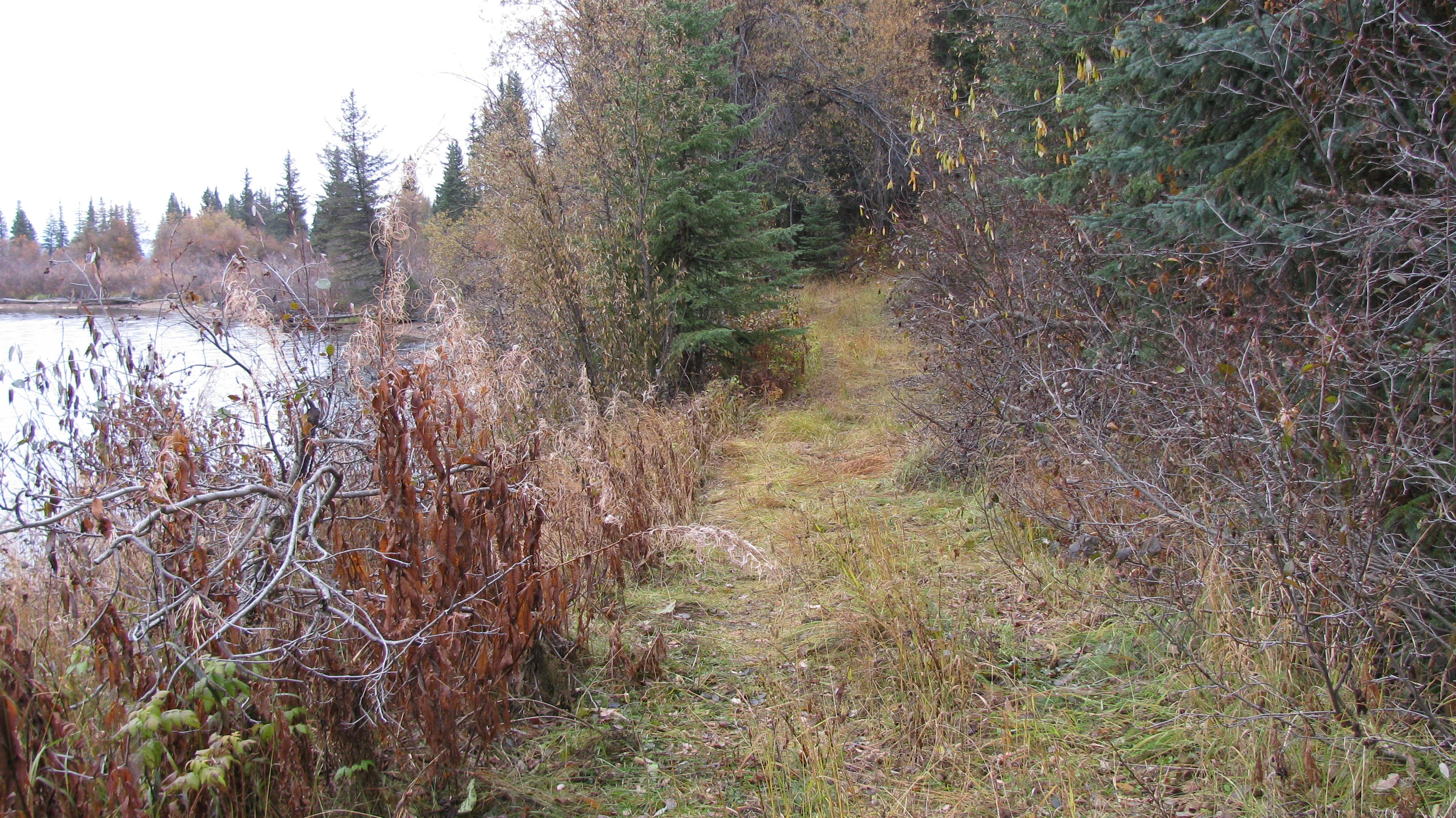 Photo: Recreation Sites and Trails BC. © Province of British Columbia, licensed under the Open Government Licence – British Columbia. Francois West, photo 3