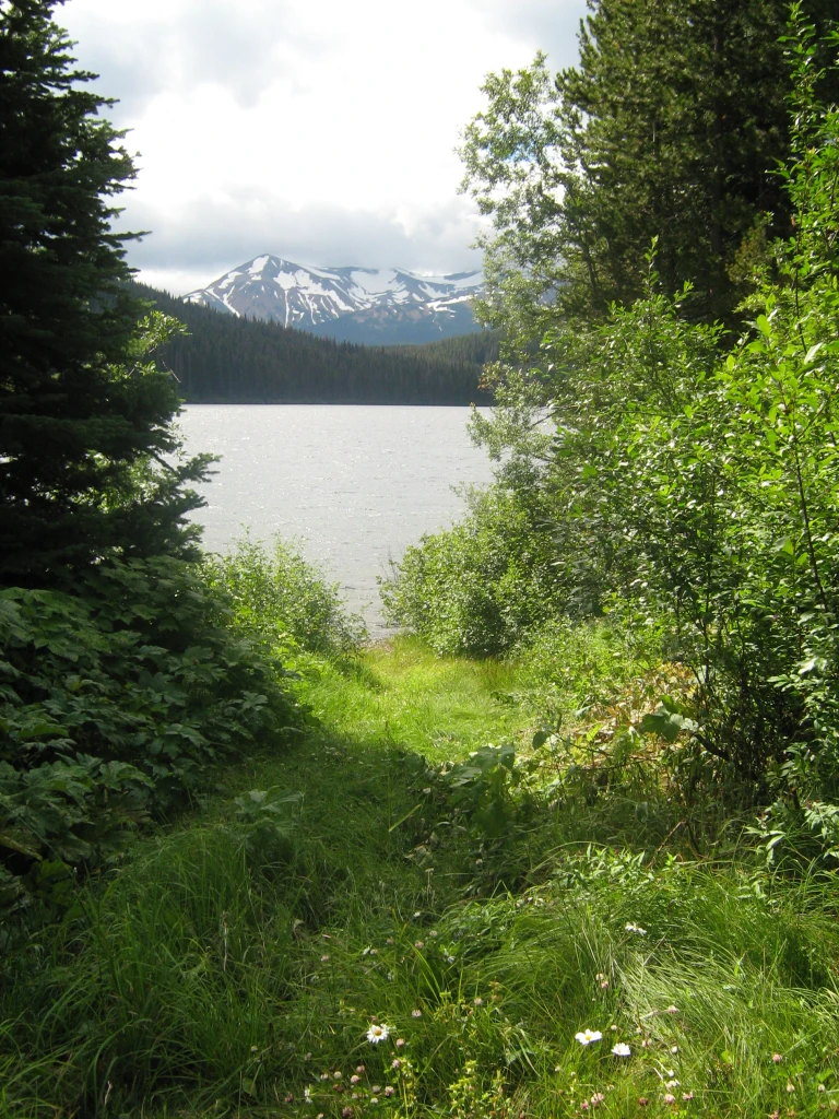 Photo: Recreation Sites and Trails BC. © Province of British Columbia, licensed under the Open Government Licence – British Columbia. Sweeney Lake E, photo 2