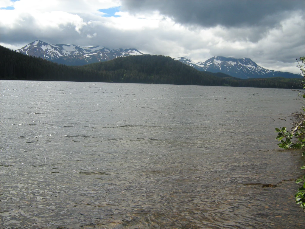 Photo: Recreation Sites and Trails BC. © Province of British Columbia, licensed under the Open Government Licence – British Columbia. Sweeney Lake E, photo 3