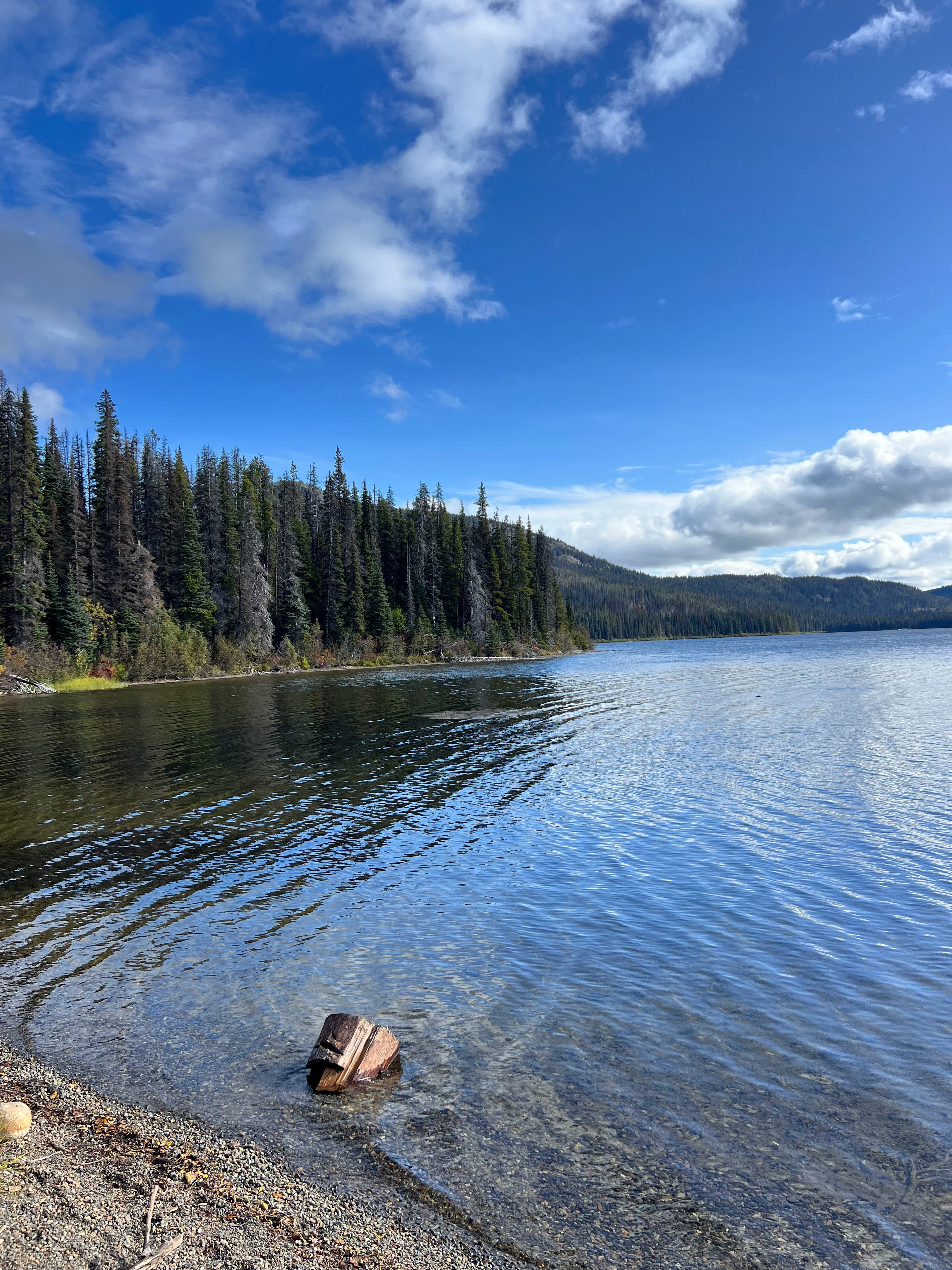 Photo: Recreation Sites and Trails BC. © Province of British Columbia, licensed under the Open Government Licence – British Columbia. Sweeney Lake W