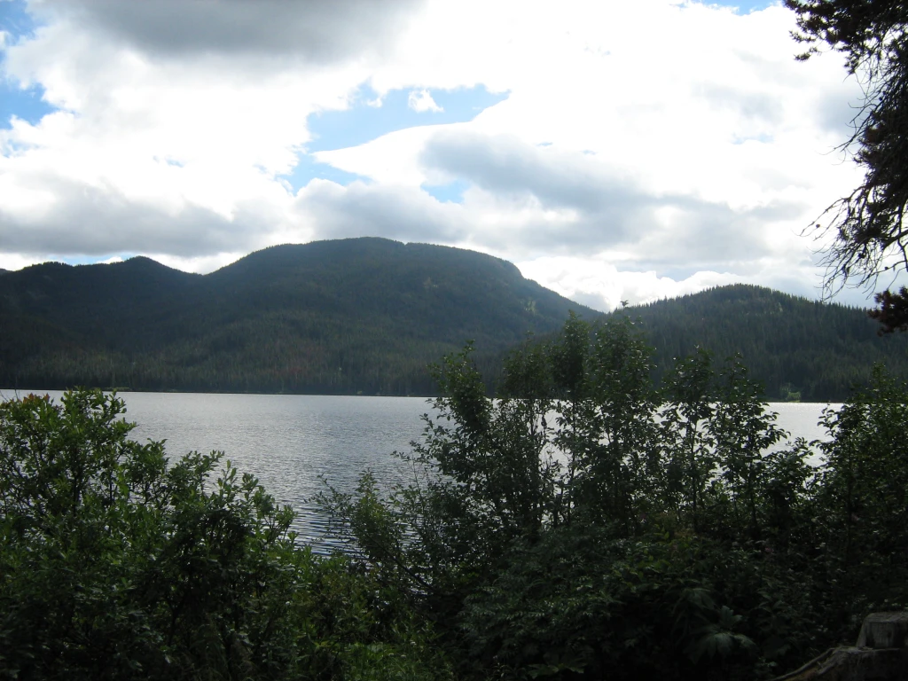 Photo: Recreation Sites and Trails BC. © Province of British Columbia, licensed under the Open Government Licence – British Columbia. Sweeney Lake W, photo 4