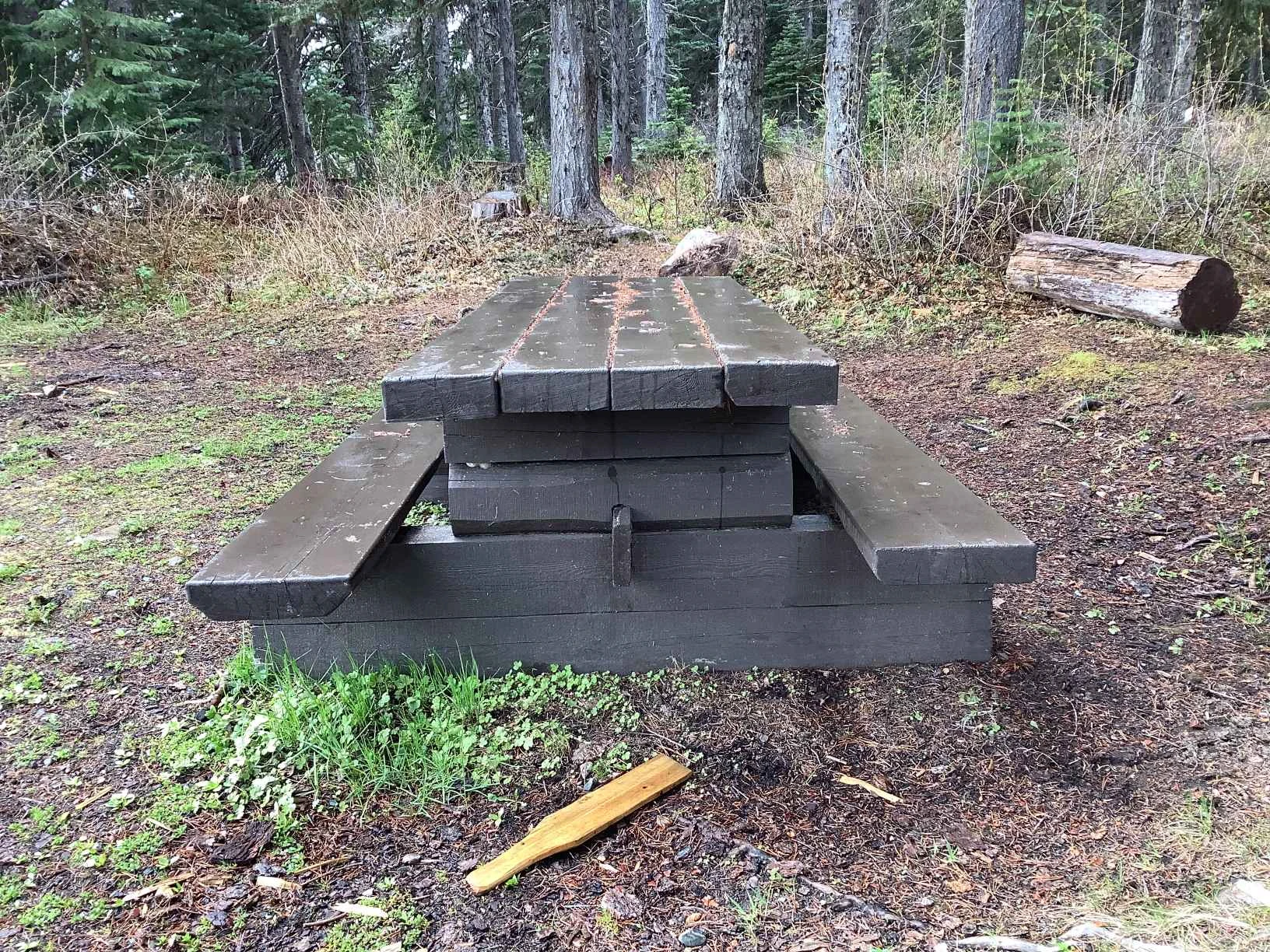Photo: Recreation Sites and Trails BC. © Province of British Columbia, licensed under the Open Government Licence – British Columbia. Sweeney Lake W, photo 5