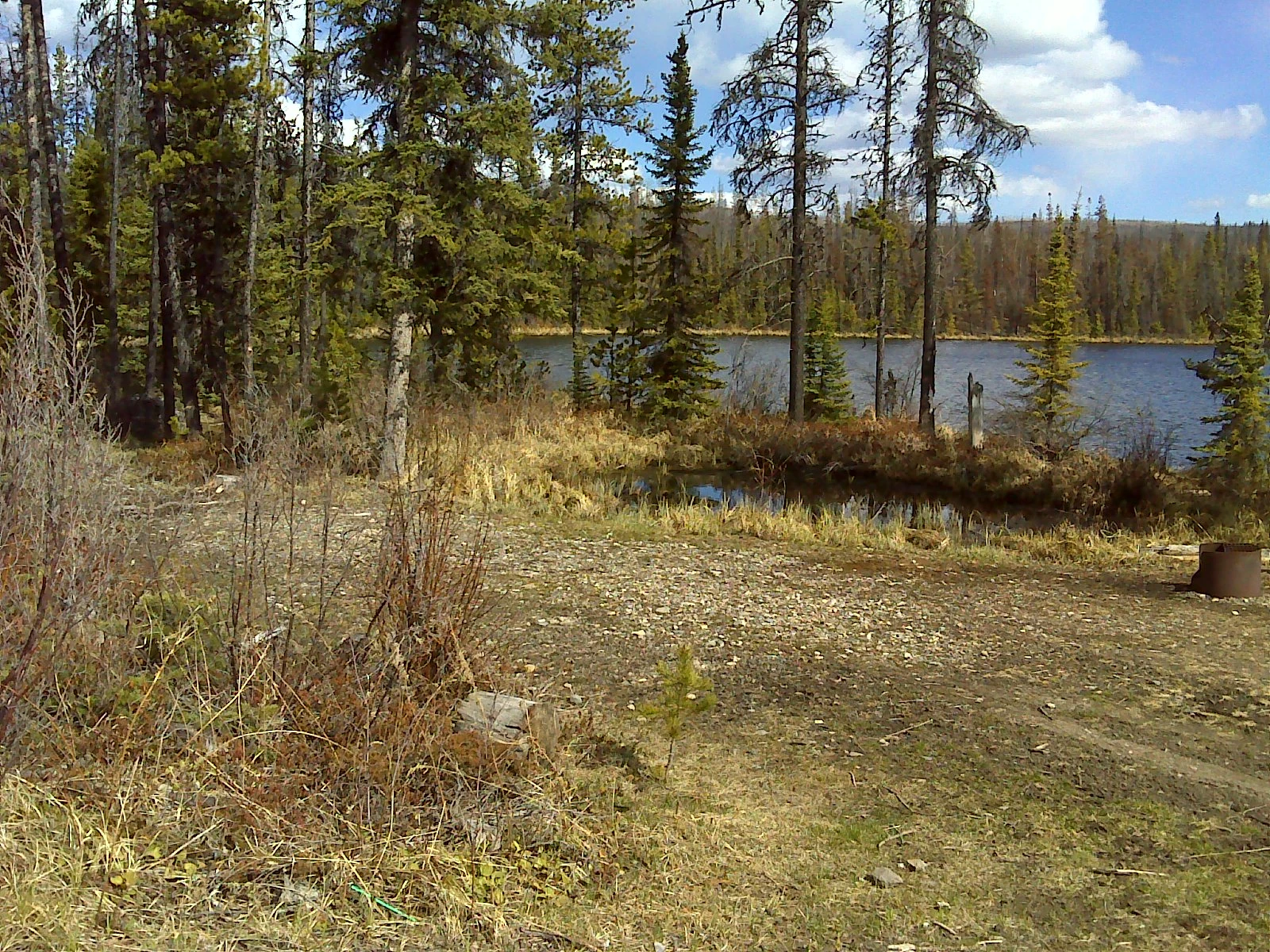 Photo: Recreation Sites and Trails BC. © Province of British Columbia, licensed under the Open Government Licence – British Columbia. Trout Lake, photo 4