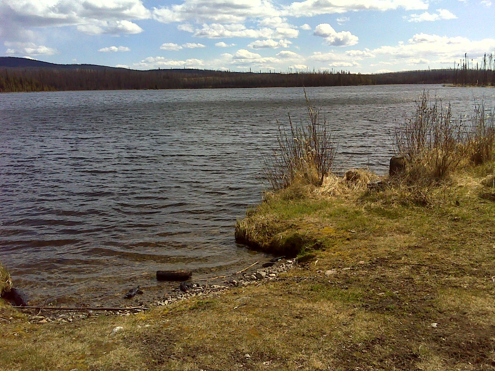 Photo: Recreation Sites and Trails BC. © Province of British Columbia, licensed under the Open Government Licence – British Columbia. Trout Lake, photo 3