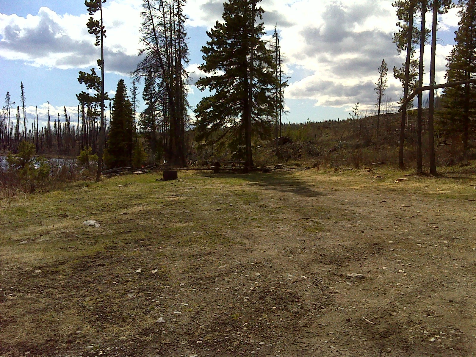 Photo: Recreation Sites and Trails BC. © Province of British Columbia, licensed under the Open Government Licence – British Columbia. Trout Lake, photo 2