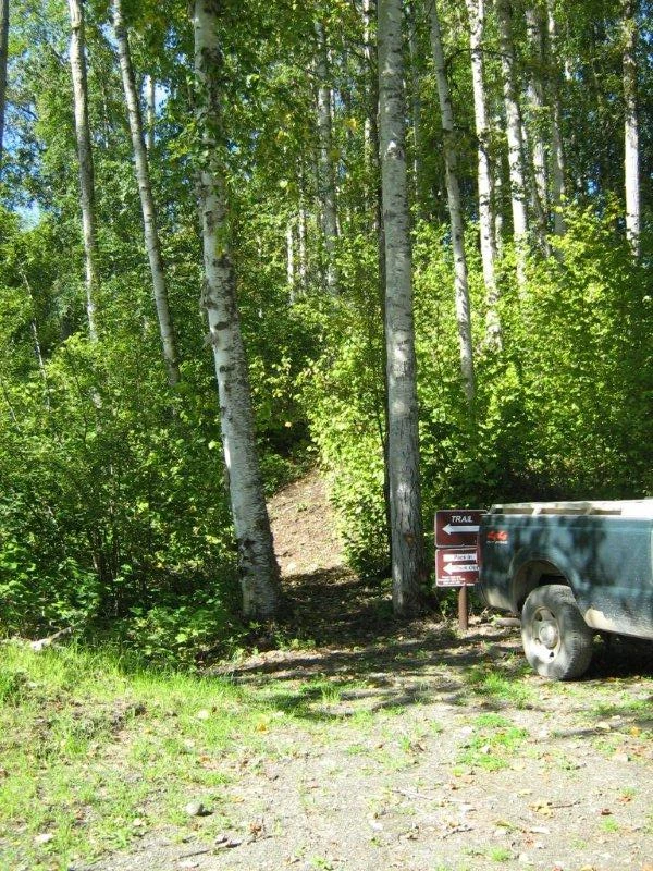 Photo: Recreation Sites and Trails BC. © Province of British Columbia, licensed under the Open Government Licence – British Columbia. Pentz Lake, photo 9