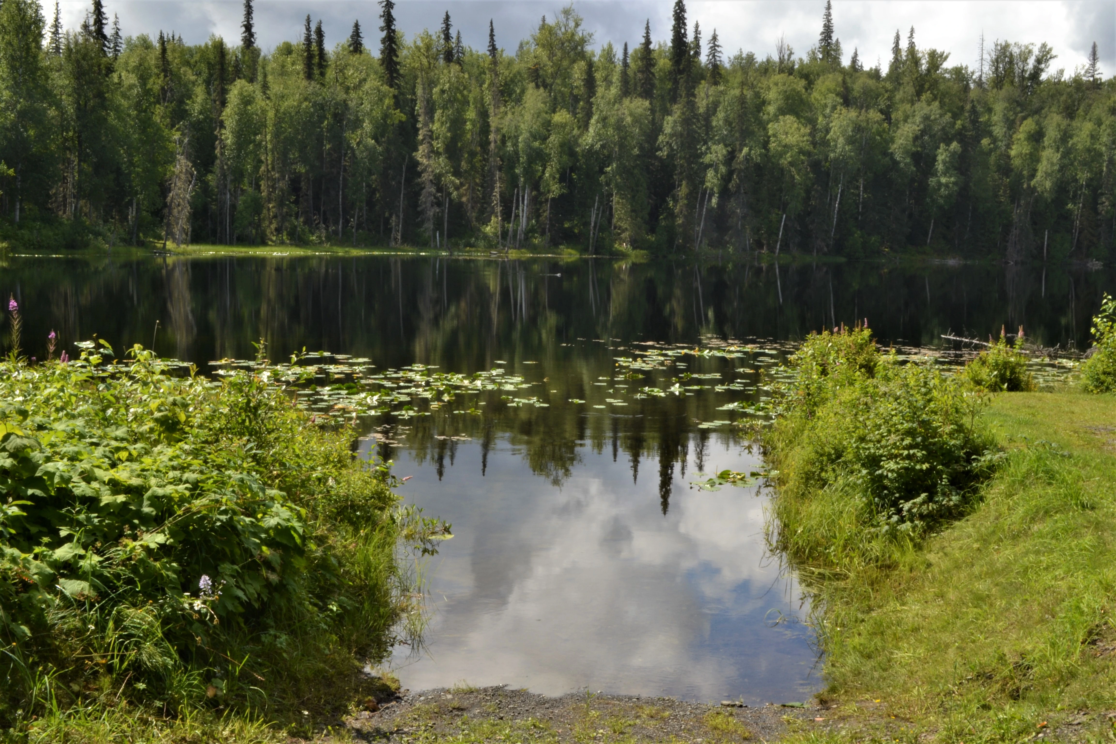 Photo: Recreation Sites and Trails BC. © Province of British Columbia, licensed under the Open Government Licence – British Columbia. Pentz Lake, photo 2