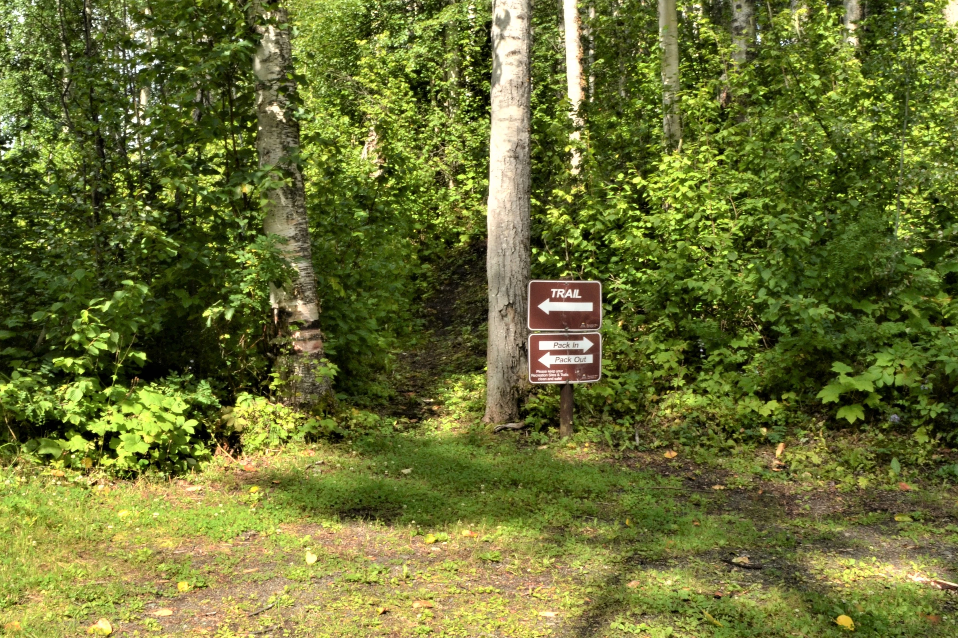 Photo: Recreation Sites and Trails BC. © Province of British Columbia, licensed under the Open Government Licence – British Columbia. Pentz Lake, photo 8