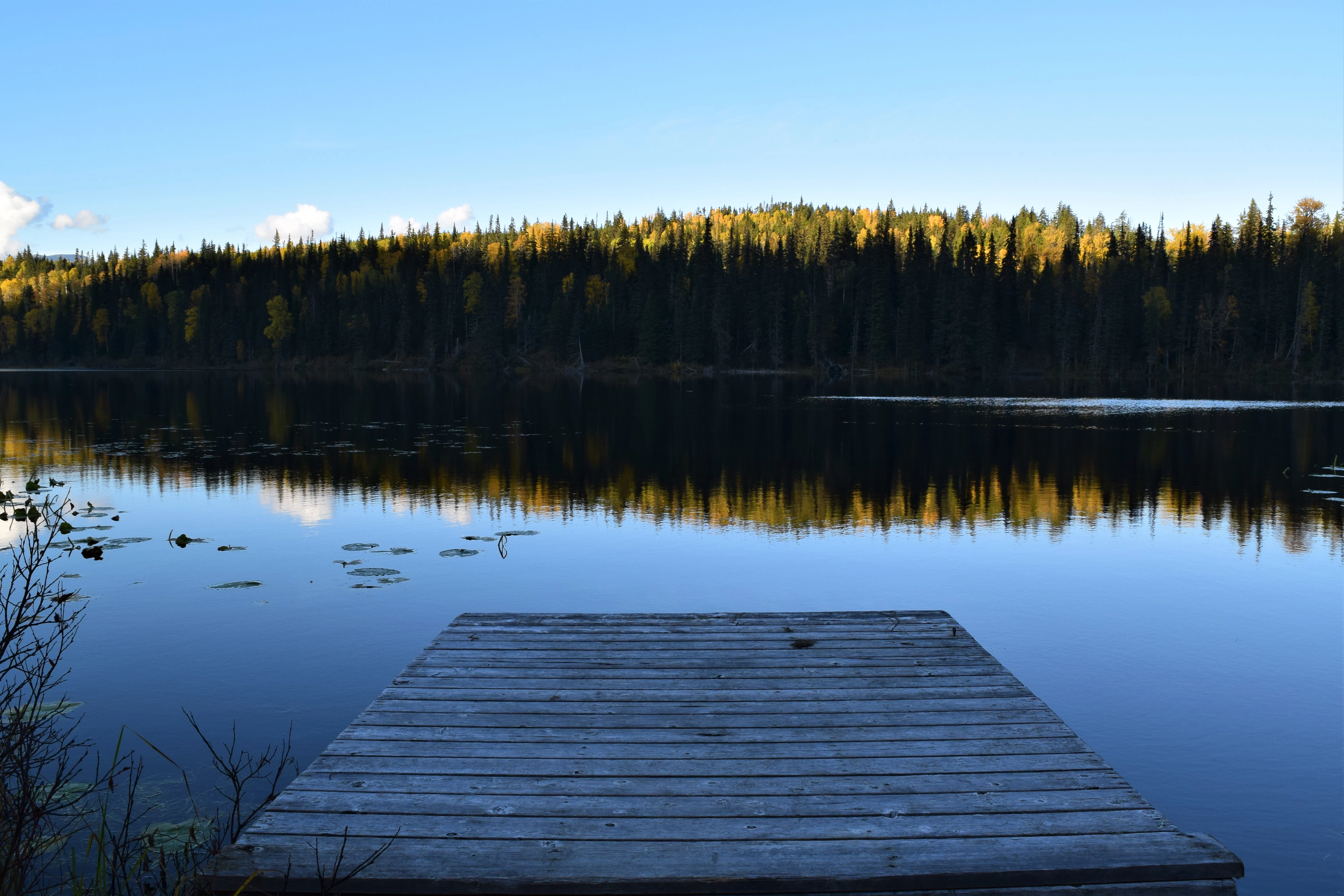 Photo: Recreation Sites and Trails BC. © Province of British Columbia, licensed under the Open Government Licence – British Columbia. Little Fish Lake