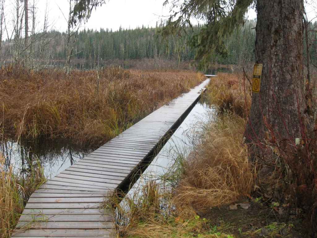 Photo: Recreation Sites and Trails BC. © Province of British Columbia, licensed under the Open Government Licence – British Columbia. Little Fish Lake, photo 2