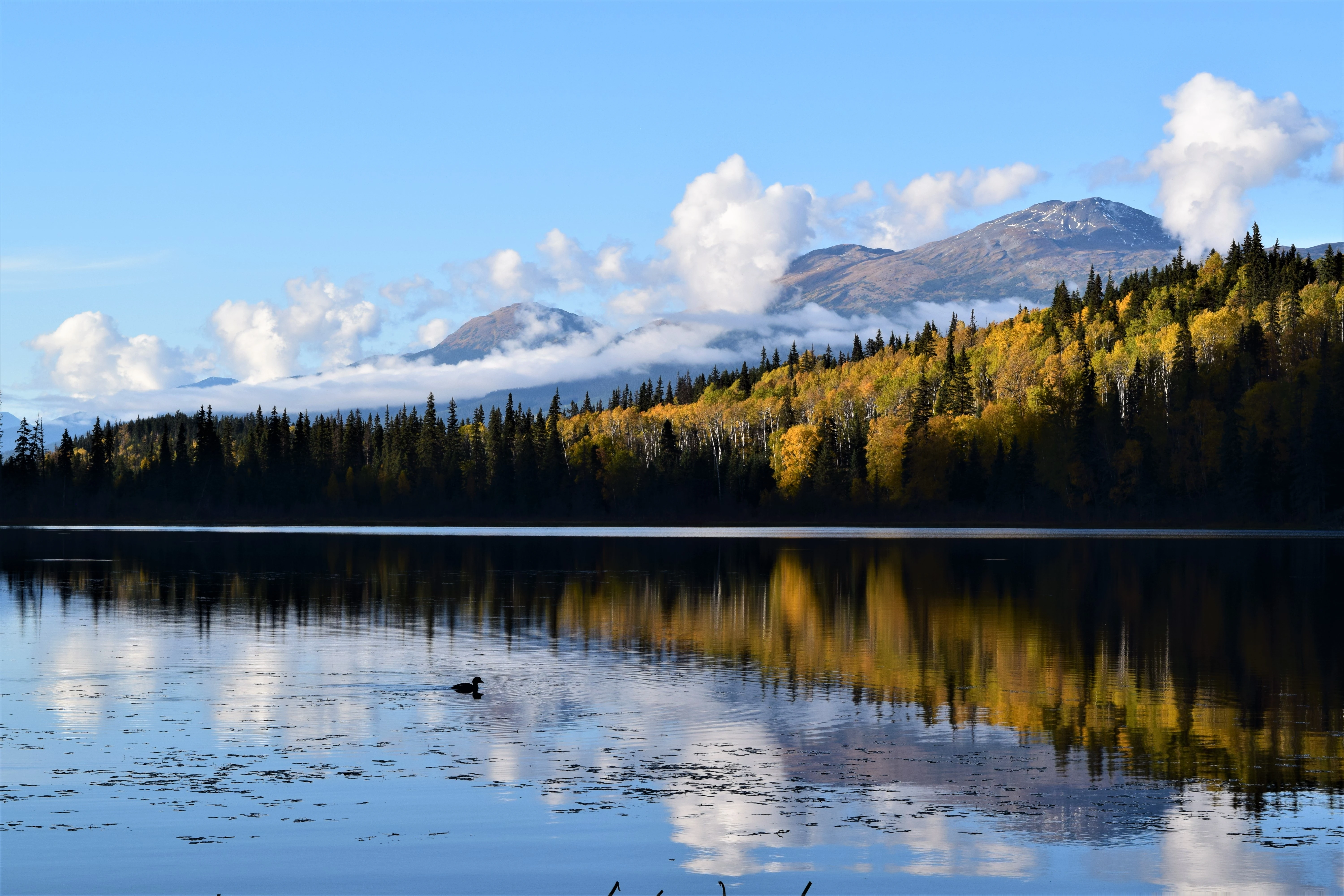 Photo: Recreation Sites and Trails BC. © Province of British Columbia, licensed under the Open Government Licence – British Columbia. Little Fish Lake, photo 3