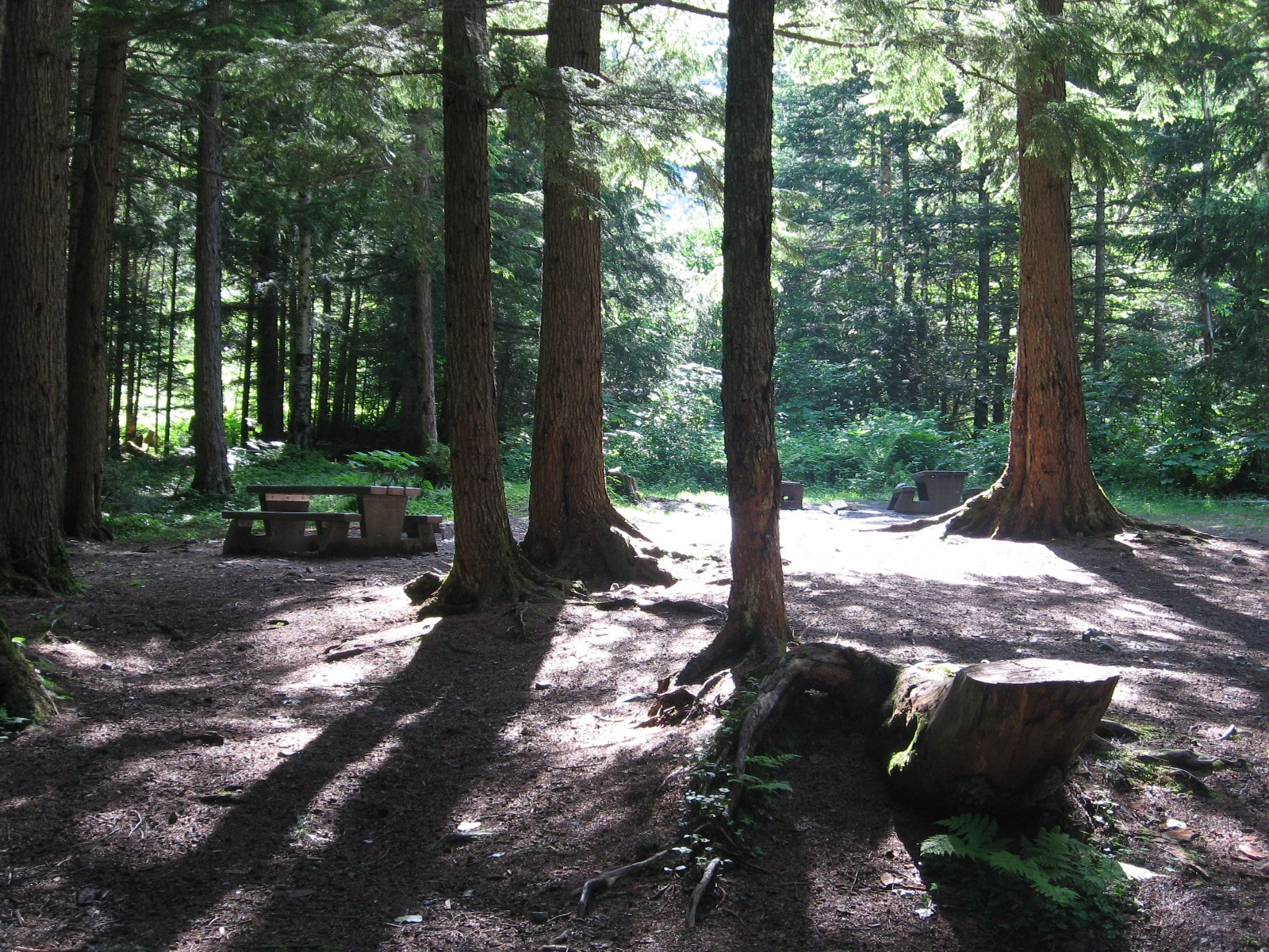 Photo: Recreation Sites and Trails BC. © Province of British Columbia, licensed under the Open Government Licence – British Columbia. Twin Falls, photo 3