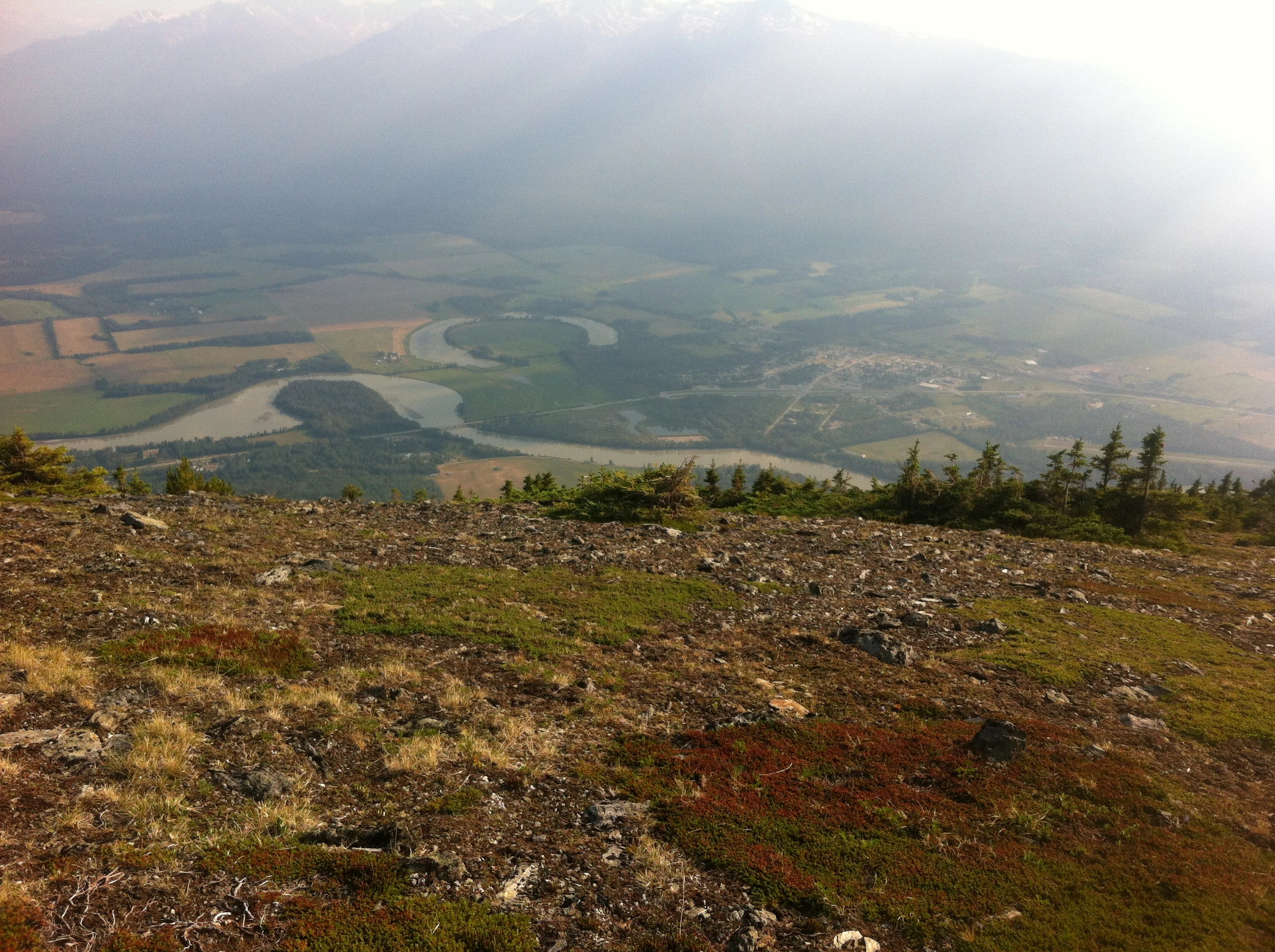 Photo: Recreation Sites and Trails BC. © Province of British Columbia, licensed under the Open Government Licence – British Columbia. Mcbride Peak Alpine Trail, photo 4
