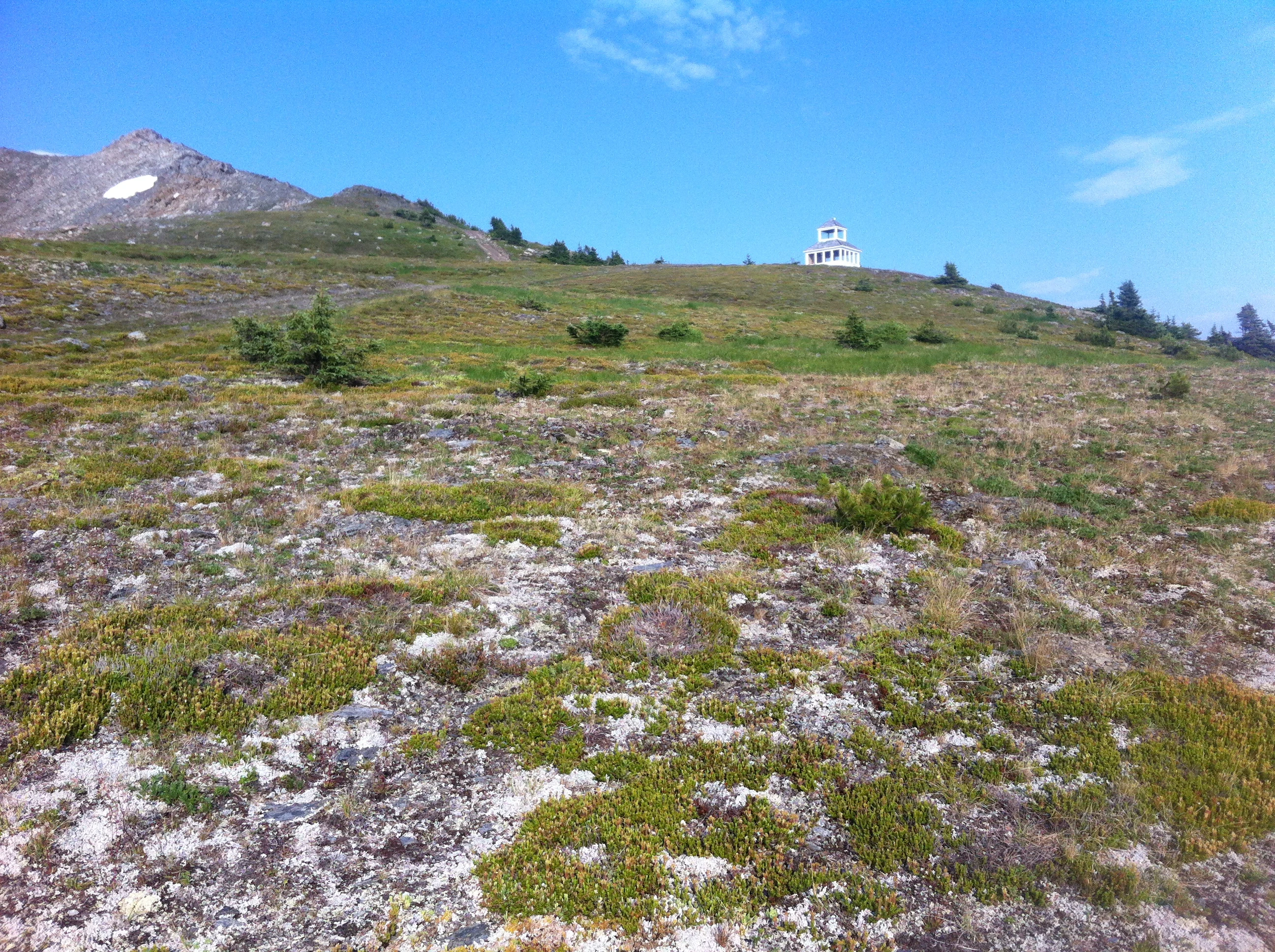Photo: Recreation Sites and Trails BC. © Province of British Columbia, licensed under the Open Government Licence – British Columbia. Mcbride Peak Alpine Trail