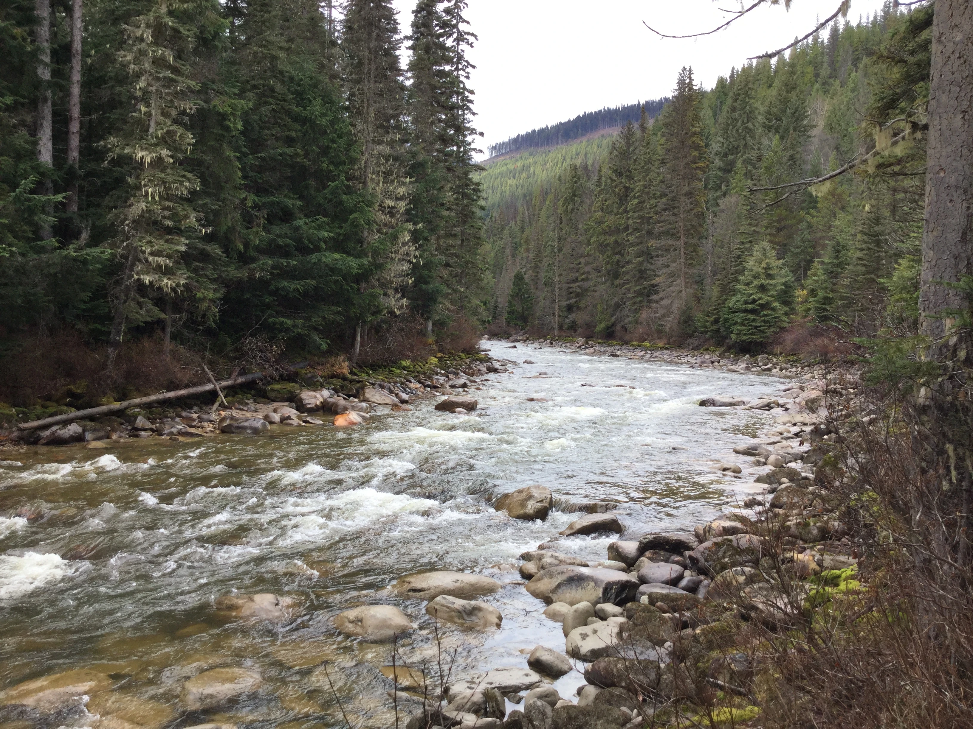 Photo: Recreation Sites and Trails BC. © Province of British Columbia, licensed under the Open Government Licence – British Columbia. Upper Canoe, photo 2