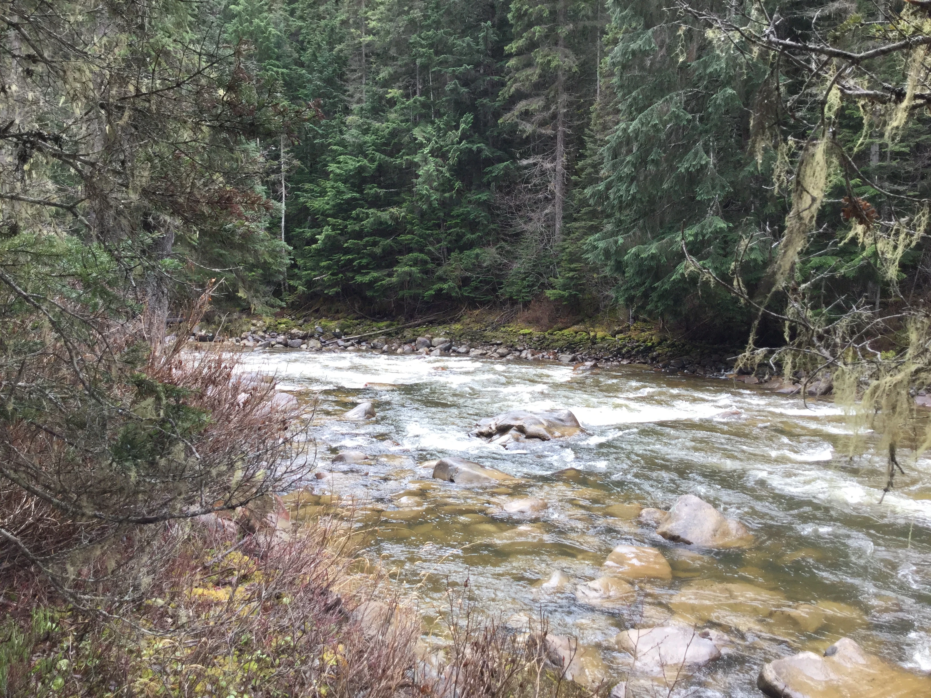 Photo: Recreation Sites and Trails BC. © Province of British Columbia, licensed under the Open Government Licence – British Columbia. Upper Canoe, photo 3