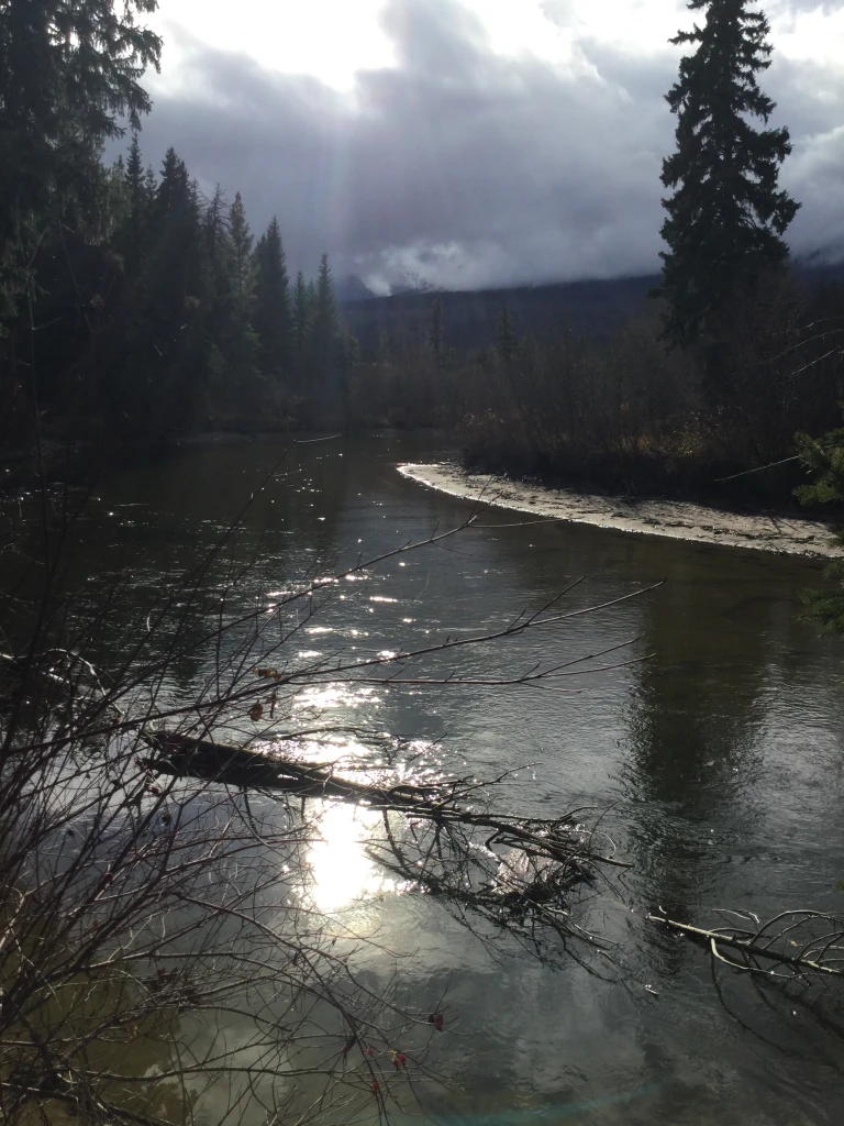 Photo: Recreation Sites and Trails BC. © Province of British Columbia, licensed under the Open Government Licence – British Columbia. Tete Jaune Spawning Grounds, photo 4