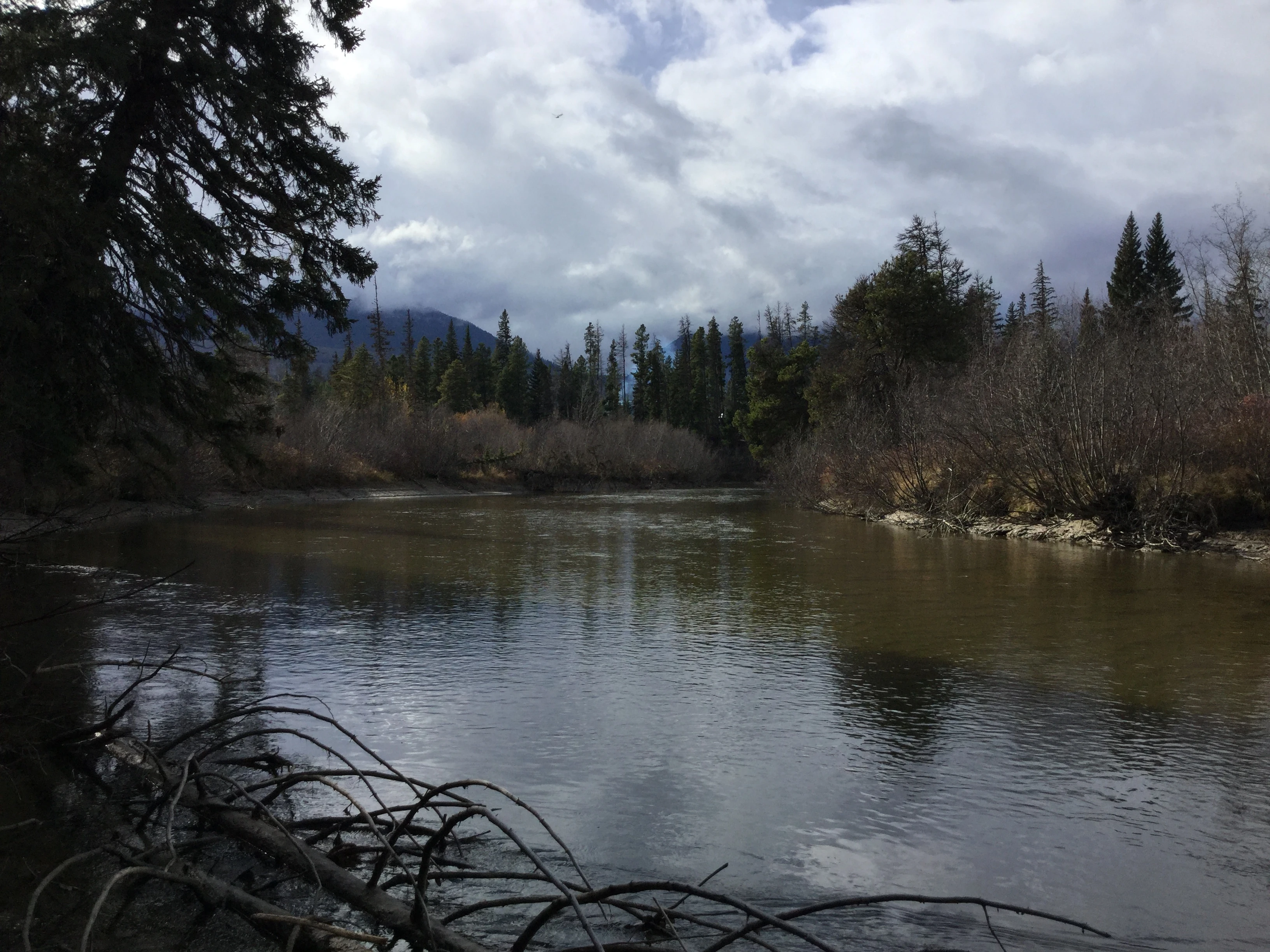 Photo: Recreation Sites and Trails BC. © Province of British Columbia, licensed under the Open Government Licence – British Columbia. Tete Jaune Spawning Grounds