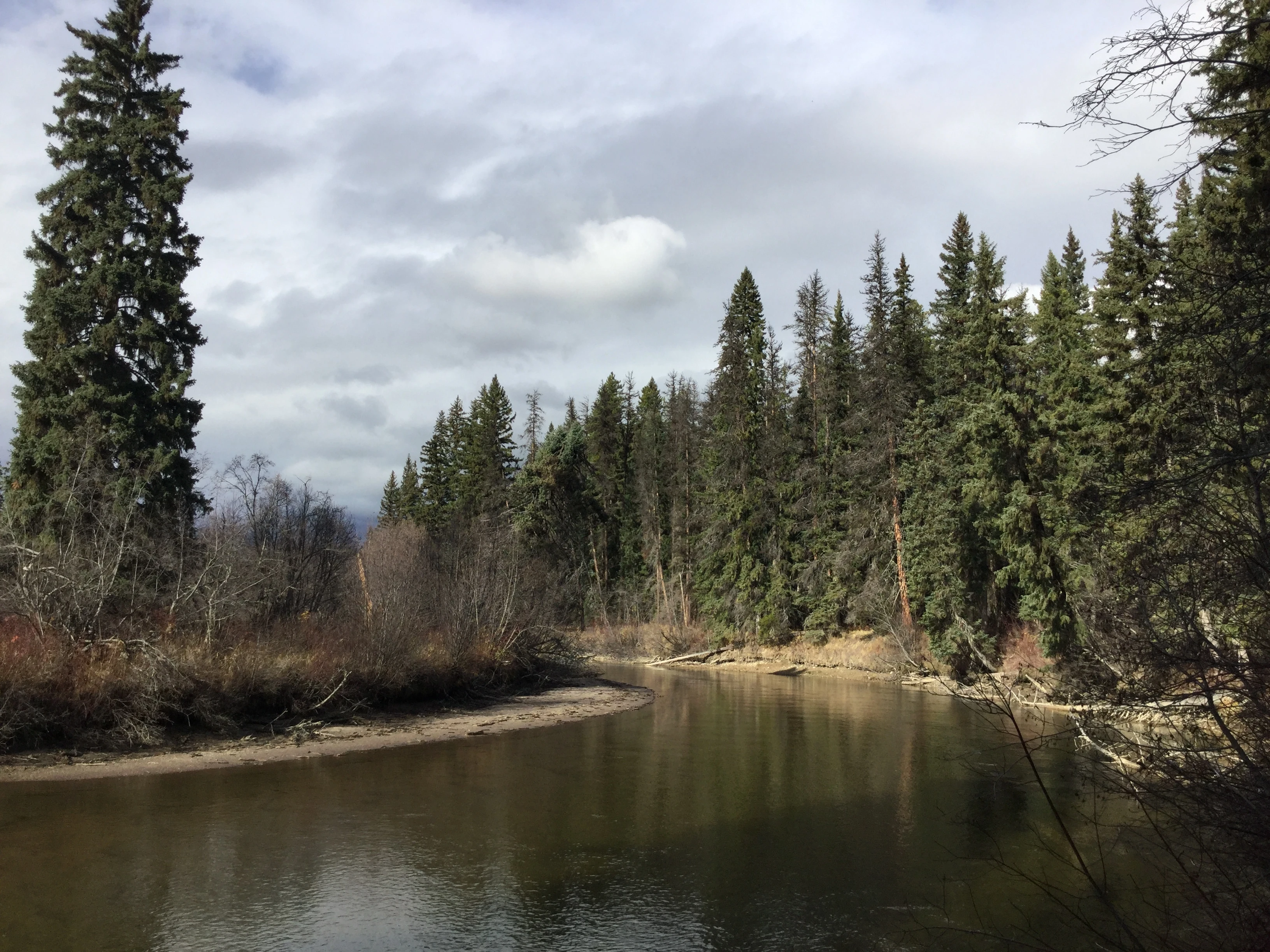 Photo: Recreation Sites and Trails BC. © Province of British Columbia, licensed under the Open Government Licence – British Columbia. Tete Jaune Spawning Grounds, photo 2