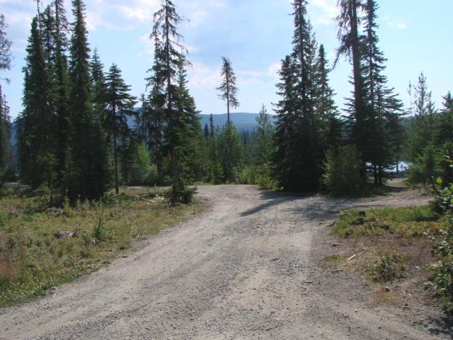 Photo: Recreation Sites and Trails BC. © Province of British Columbia, licensed under the Open Government Licence – British Columbia. St. Marie Lake West, photo 4