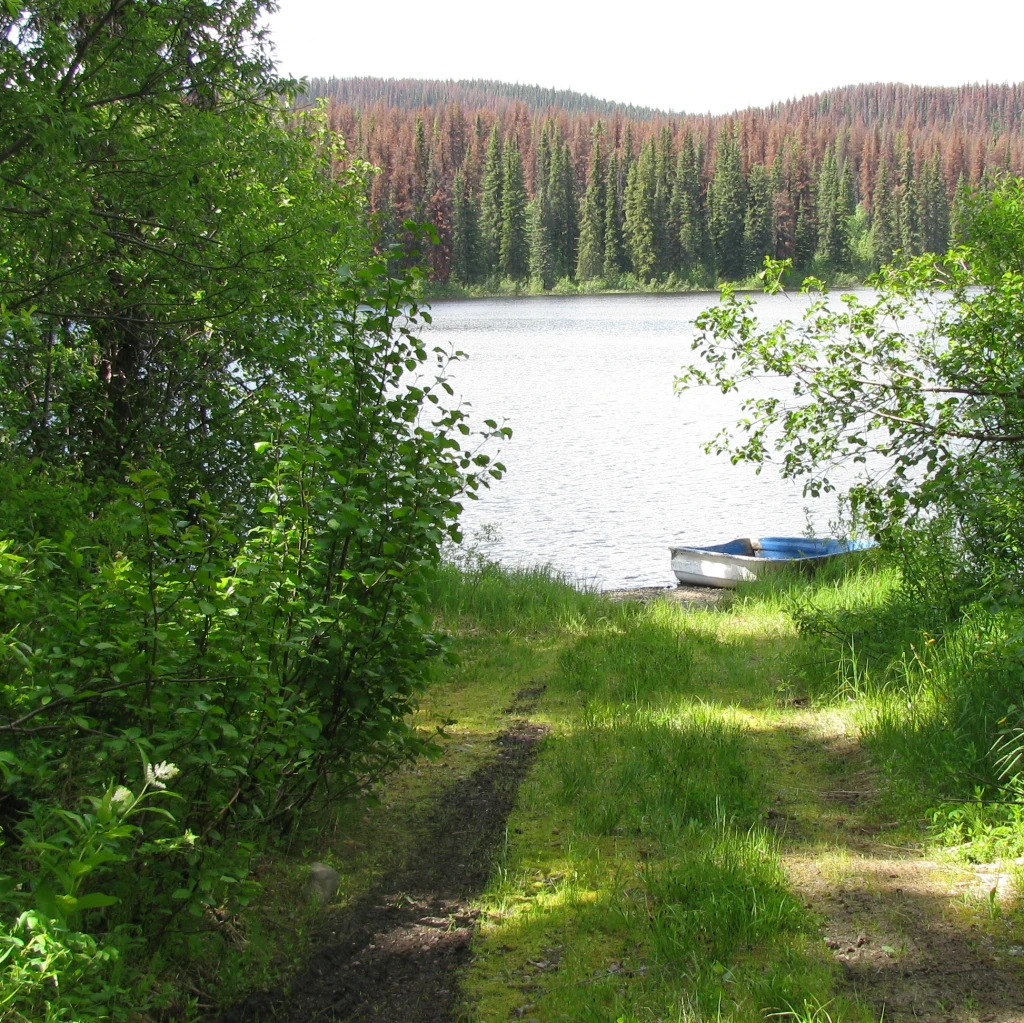 Photo: Recreation Sites and Trails BC. © Province of British Columbia, licensed under the Open Government Licence – British Columbia. Skunk Lake