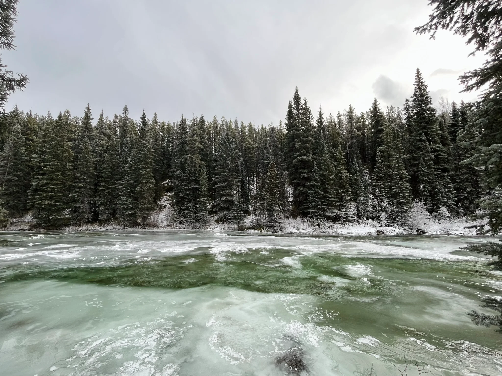 Photo: Recreation Sites and Trails BC. © Province of British Columbia, licensed under the Open Government Licence – British Columbia. Wapiti River