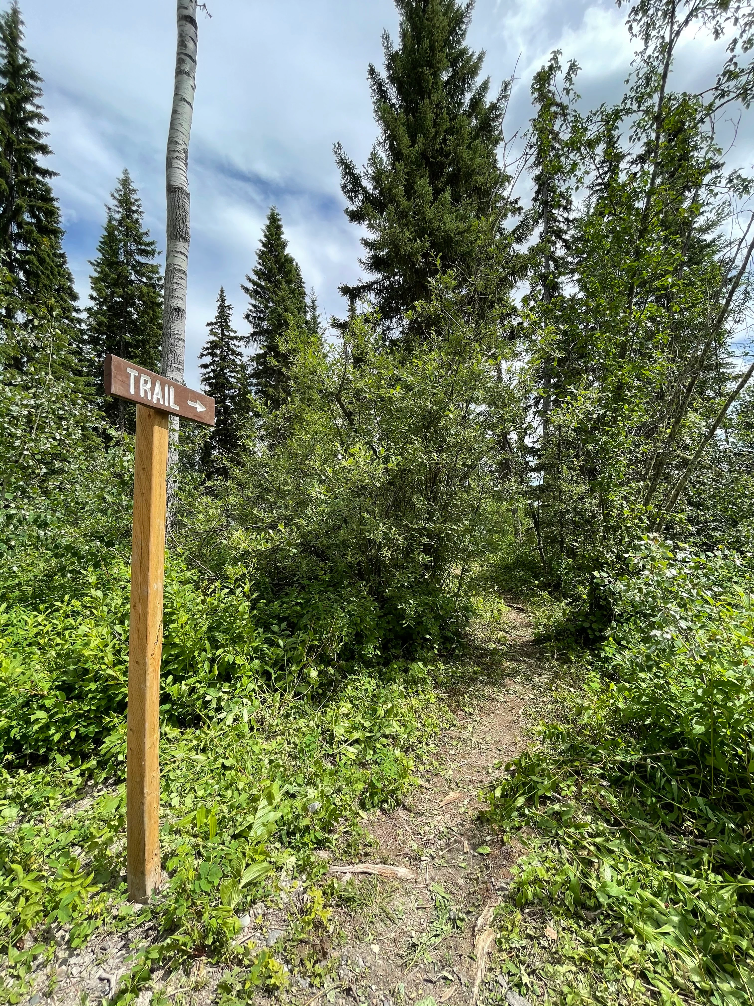 Photo: Recreation Sites and Trails BC. © Province of British Columbia, licensed under the Open Government Licence – British Columbia. Cobb Lake, photo 3