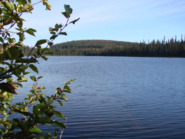 Photo: Recreation Sites and Trails BC. © Province of British Columbia, licensed under the Open Government Licence – British Columbia. Turner Lake, photo 3