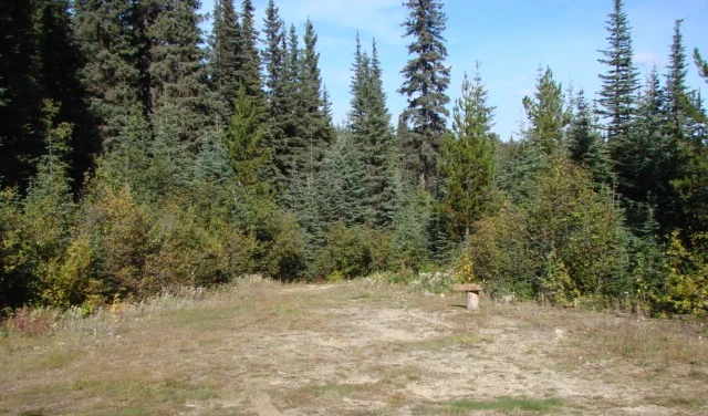 Photo: Recreation Sites and Trails BC. © Province of British Columbia, licensed under the Open Government Licence – British Columbia. Turner Lake