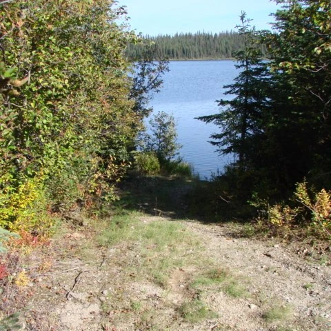 Photo: Recreation Sites and Trails BC. © Province of British Columbia, licensed under the Open Government Licence – British Columbia. Turner Lake, photo 2