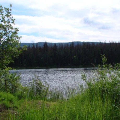 Photo: Recreation Sites and Trails BC. © Province of British Columbia, licensed under the Open Government Licence – British Columbia. Kennedy Lake