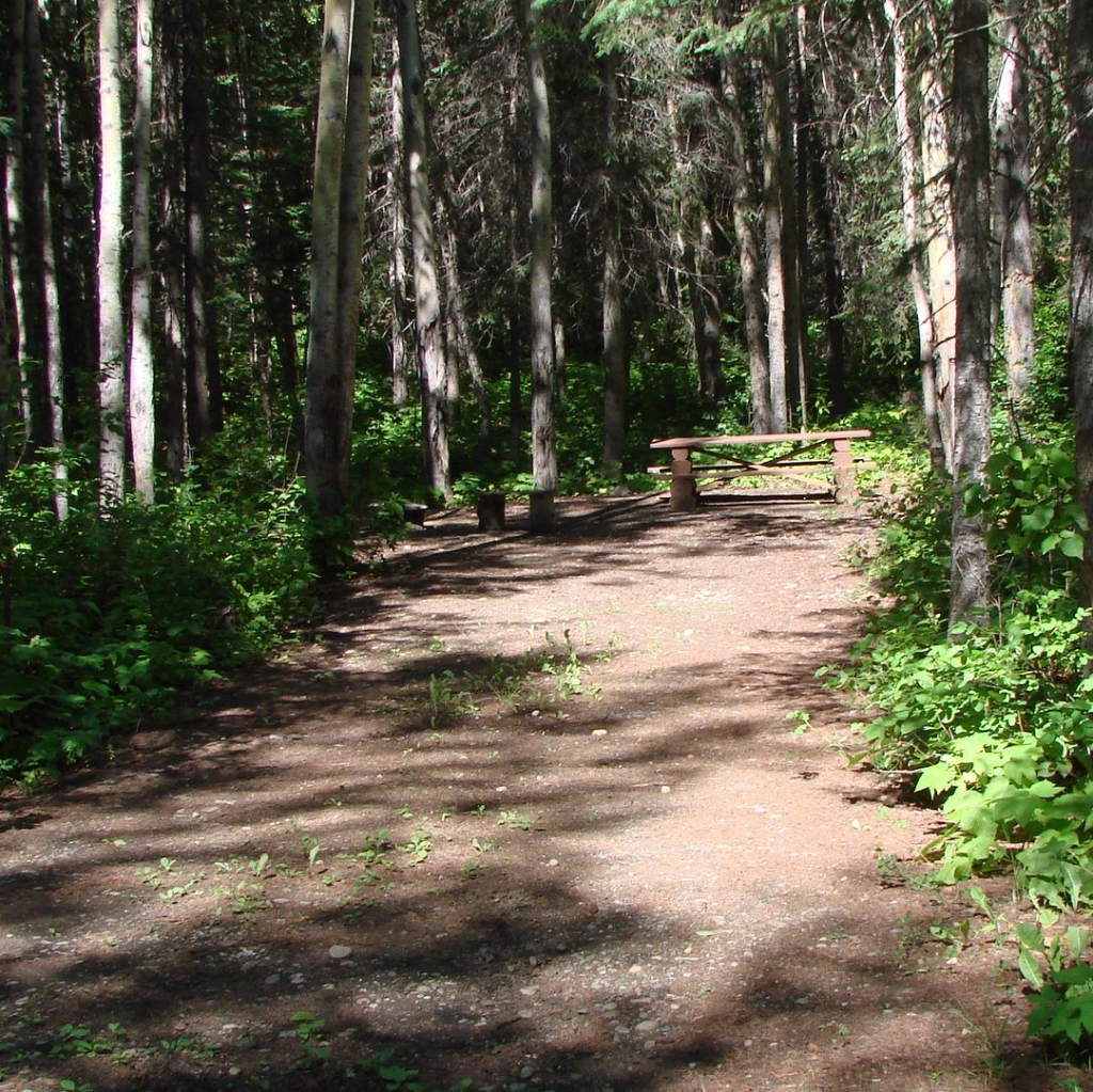 Photo: Recreation Sites and Trails BC. © Province of British Columbia, licensed under the Open Government Licence – British Columbia. Tudyah Lake, photo 3