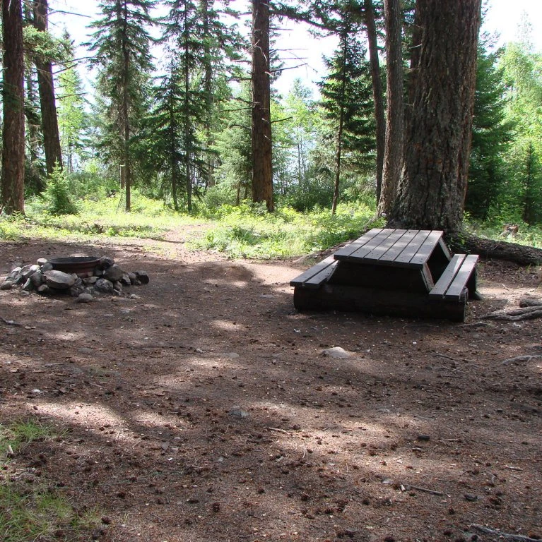 Photo: Recreation Sites and Trails BC. © Province of British Columbia, licensed under the Open Government Licence – British Columbia. Lintz Lake, photo 2