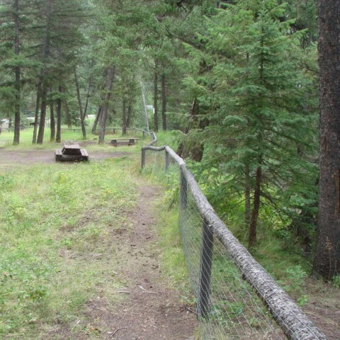 Photo: Recreation Sites and Trails BC. © Province of British Columbia, licensed under the Open Government Licence – British Columbia. Blackwater River Crossing, photo 4