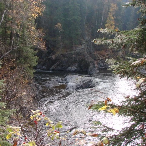 Photo: Recreation Sites and Trails BC. © Province of British Columbia, licensed under the Open Government Licence – British Columbia. Blackwater River Crossing, photo 6