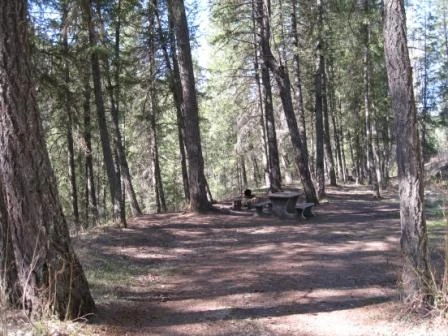 Photo: Recreation Sites and Trails BC. © Province of British Columbia, licensed under the Open Government Licence – British Columbia. Blackwater River Crossing