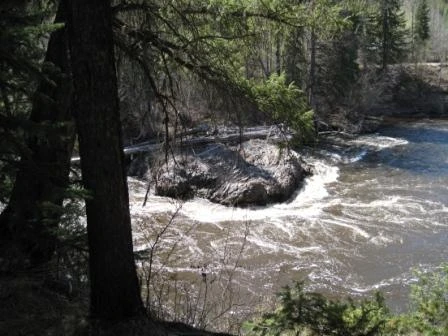 Photo: Recreation Sites and Trails BC. © Province of British Columbia, licensed under the Open Government Licence – British Columbia. Blackwater River Crossing, photo 3