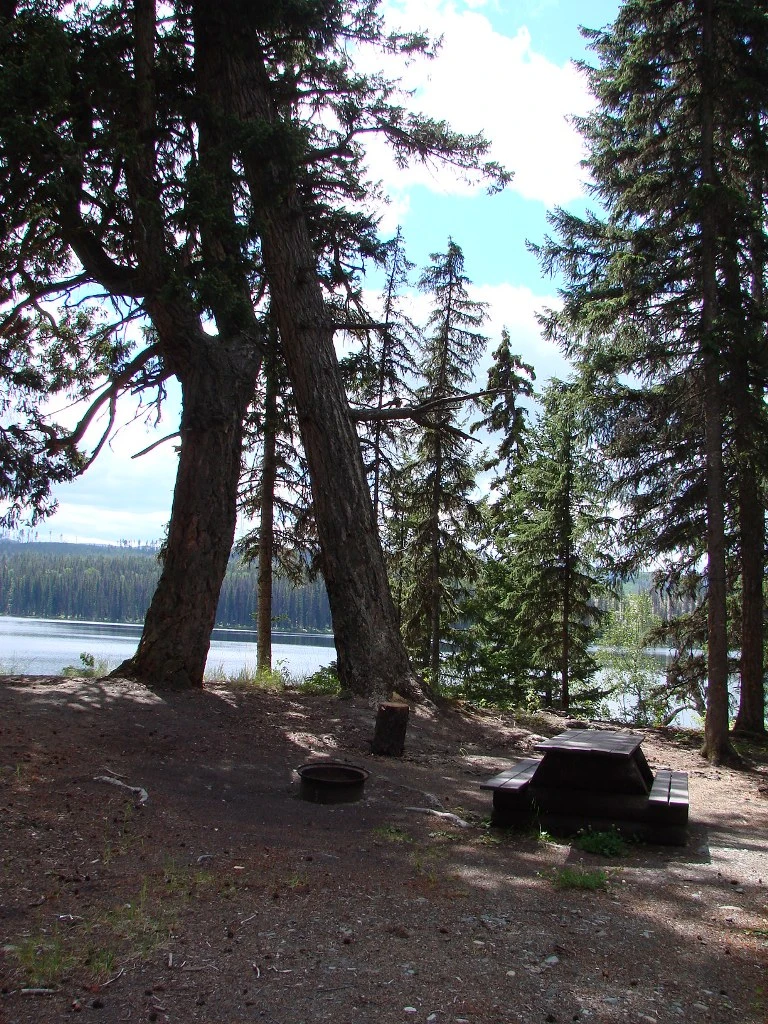Photo: Recreation Sites and Trails BC. © Province of British Columbia, licensed under the Open Government Licence – British Columbia. Barton Lake, photo 2
