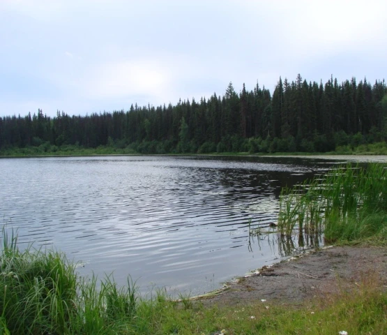 Mackenzie Lakes