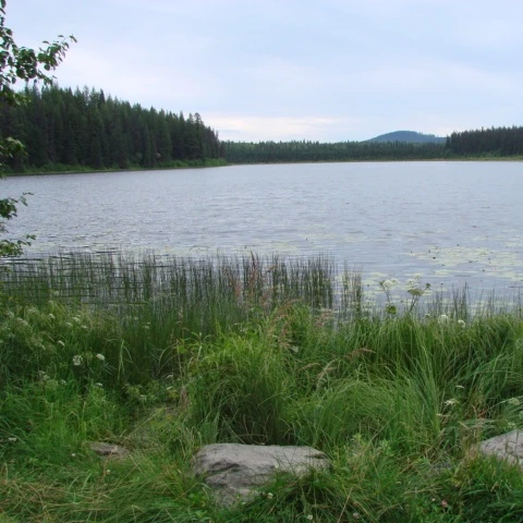 Photo: Recreation Sites and Trails BC. © Province of British Columbia, licensed under the Open Government Licence – British Columbia. Mackenzie Lakes, photo 4